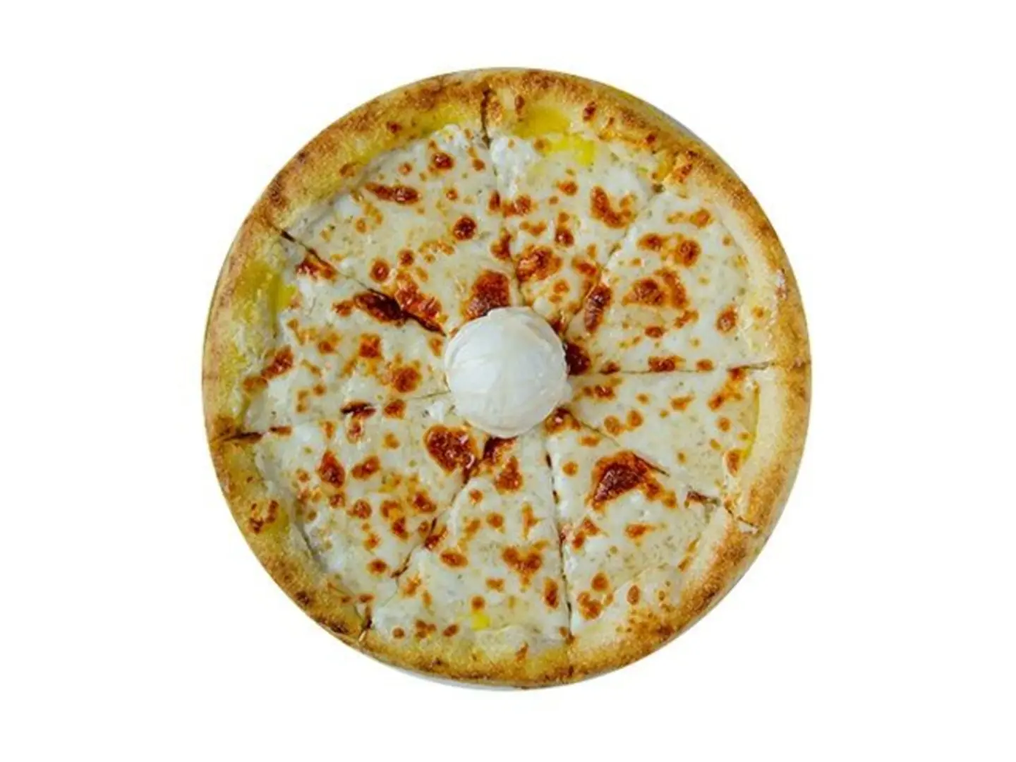 عش البلبل صغير