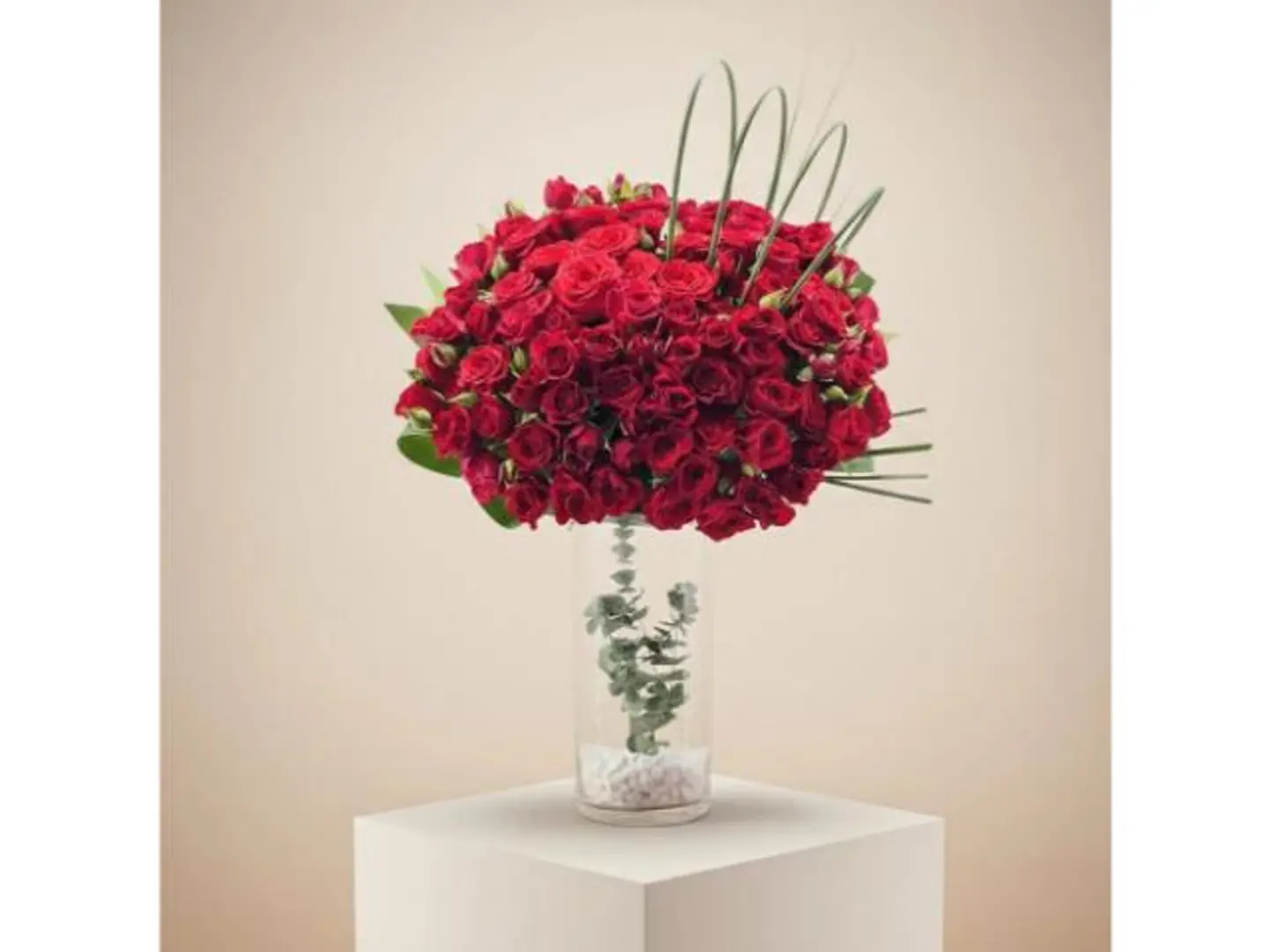 Our Love S Honor Winner