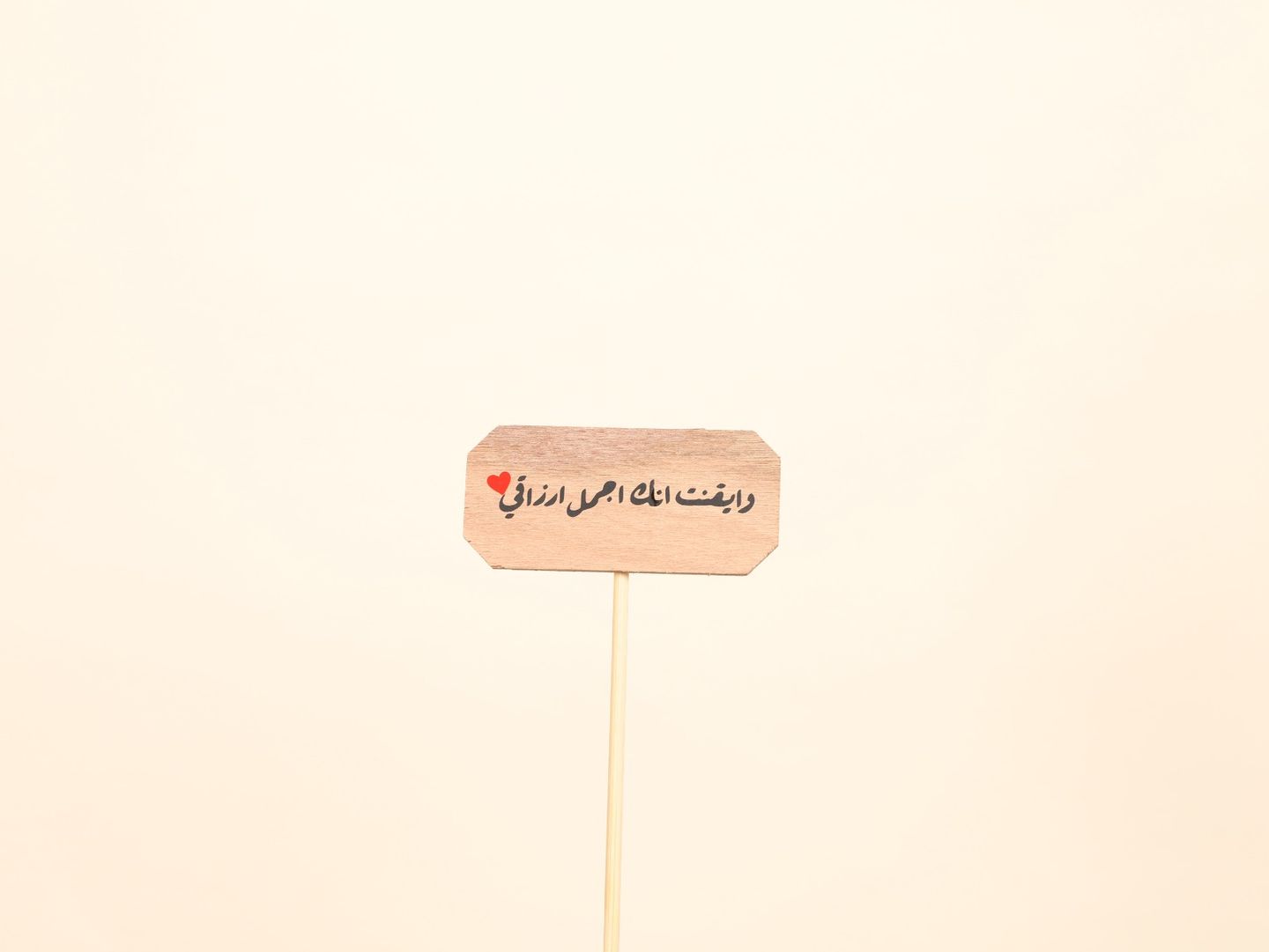 And I Realized That You Are The Most Beautiful Livelihood