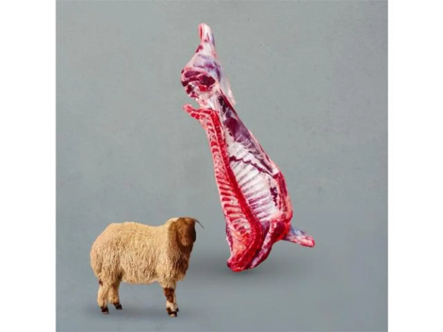 Half Local Naeimi Lamb