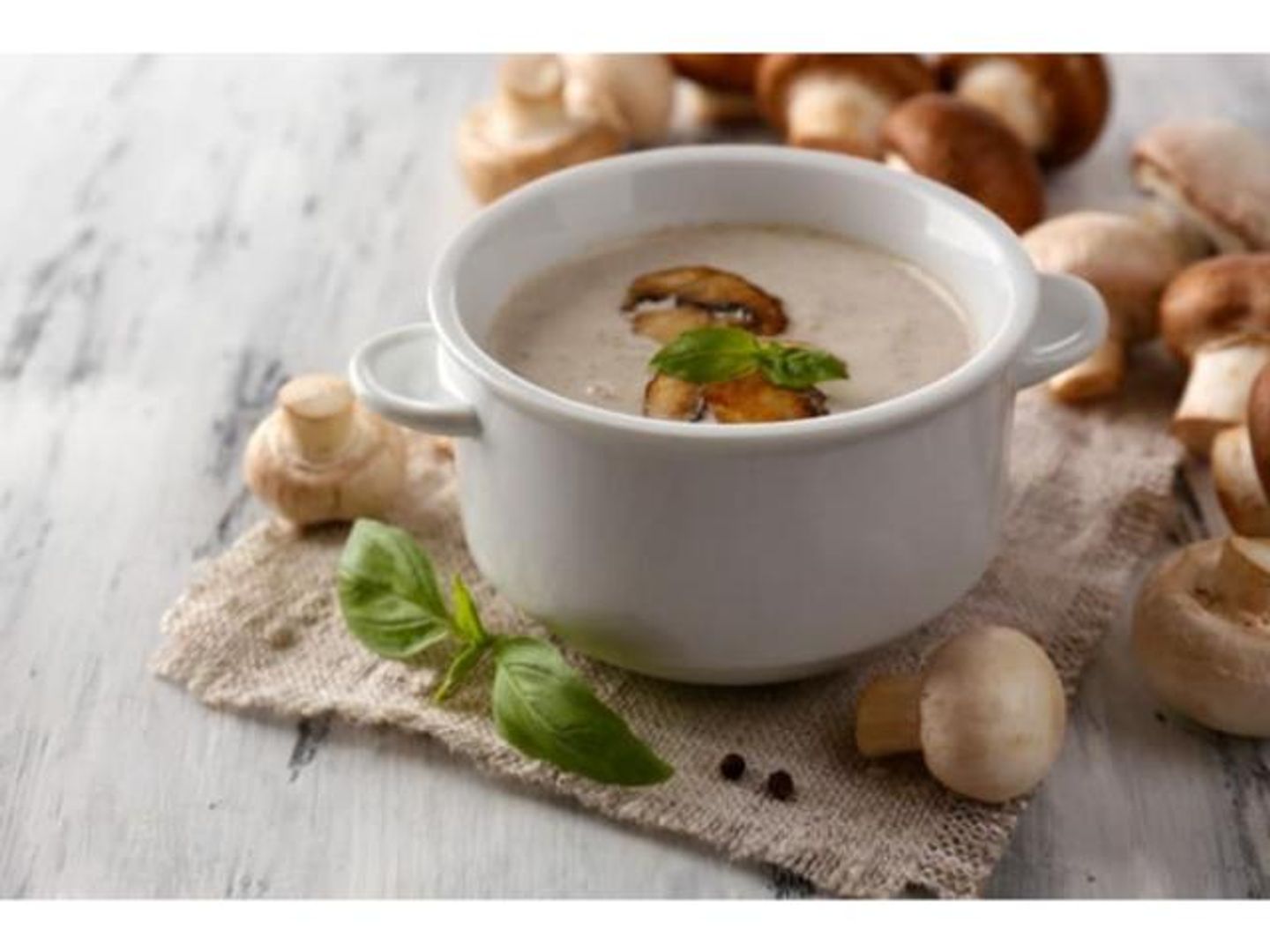 شوربة فطر بالكريمة