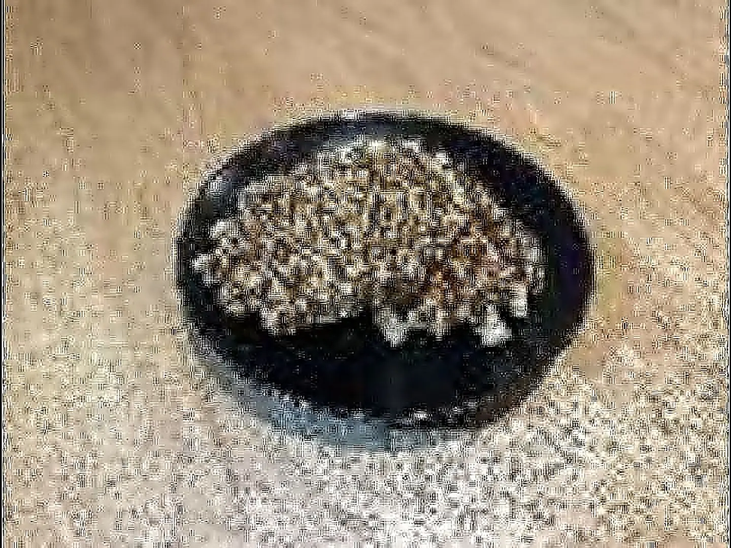 Chocolate Waffle + (Hot Drink, Tea Talqeem Or Karak)