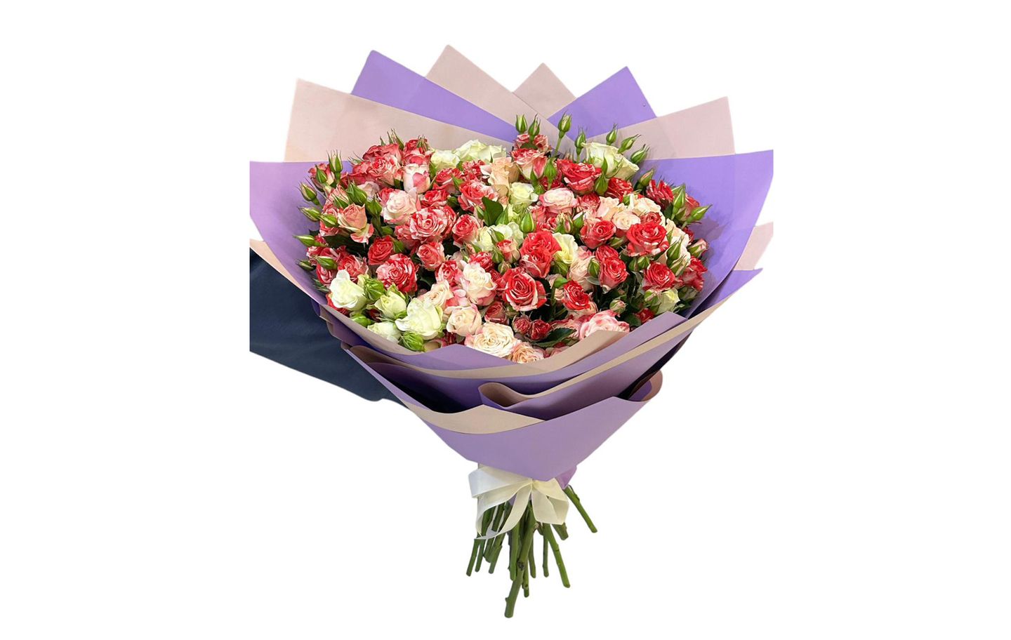 Baby Rose's Delight