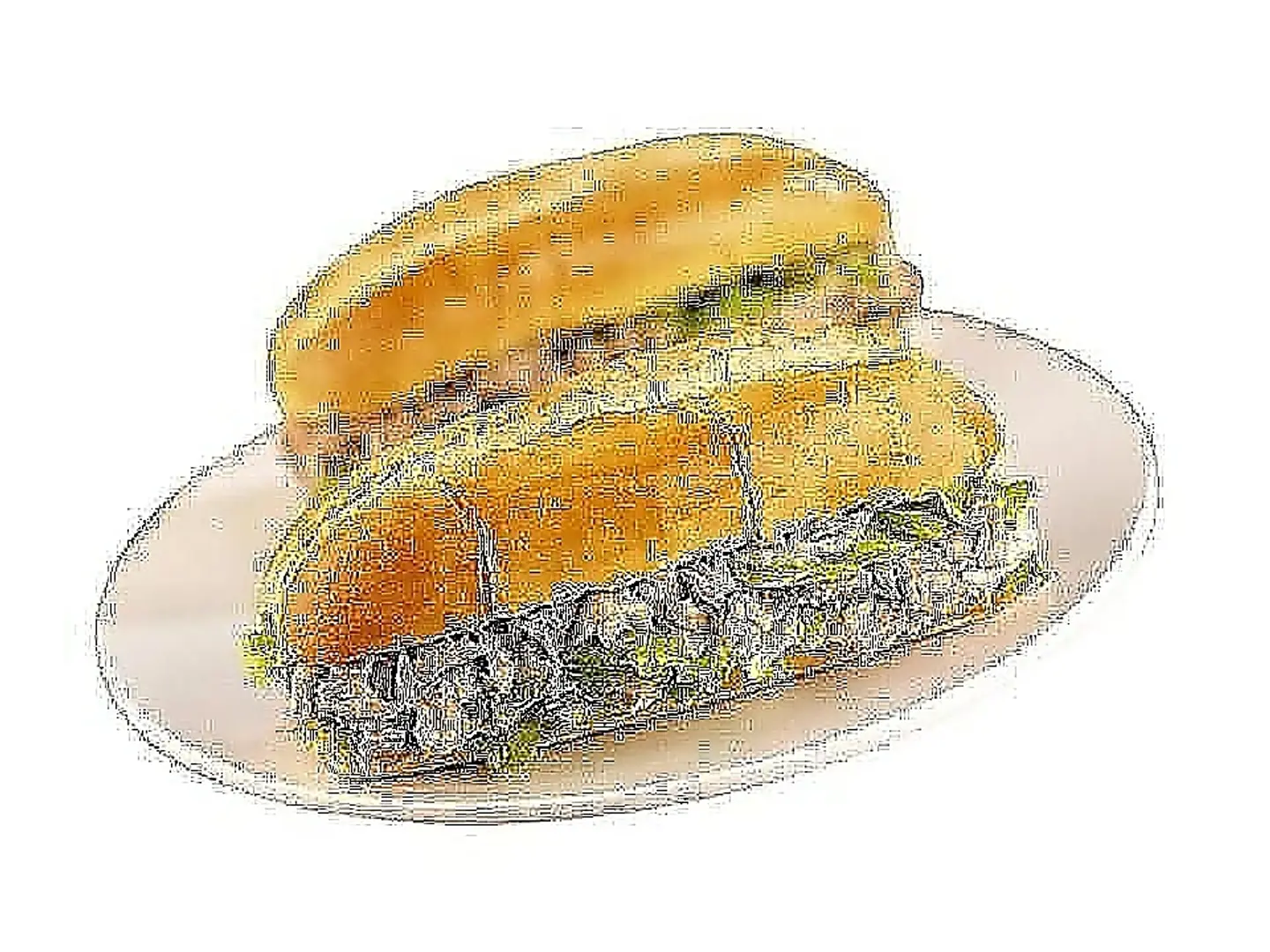 Plain Tuna Sandwich