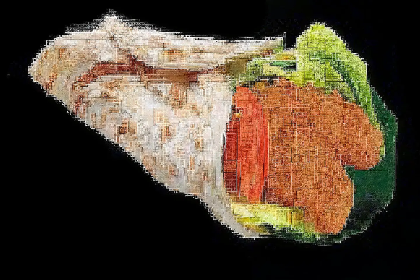 باراتا فيليه
