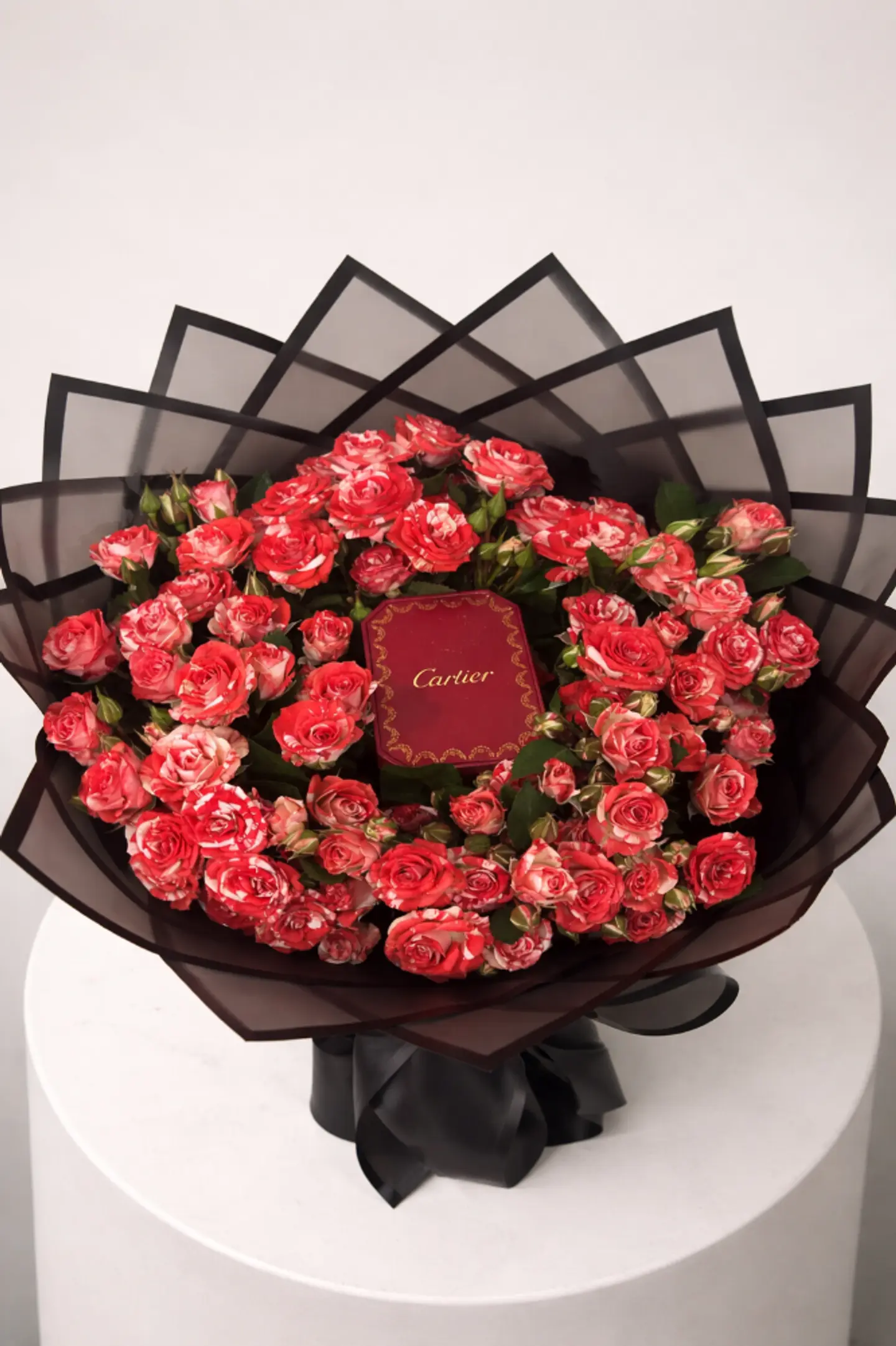 كارتير الفاخره مع كرت مجاني