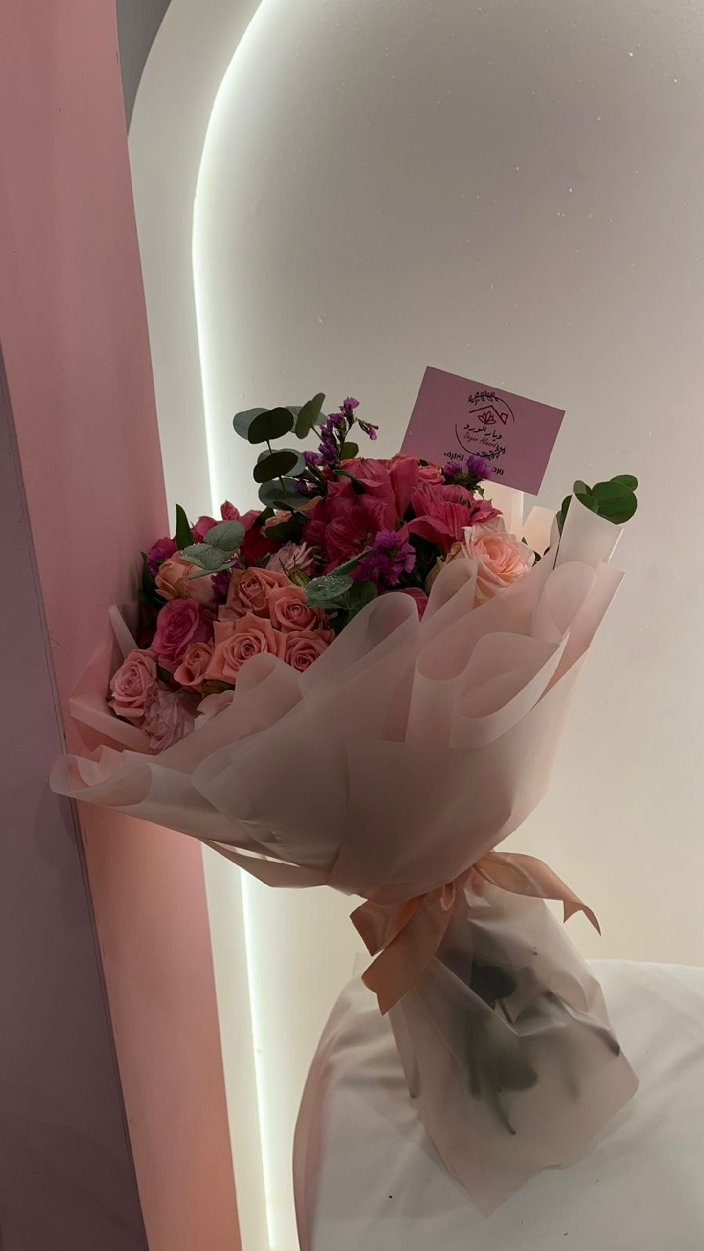 دي ار 24