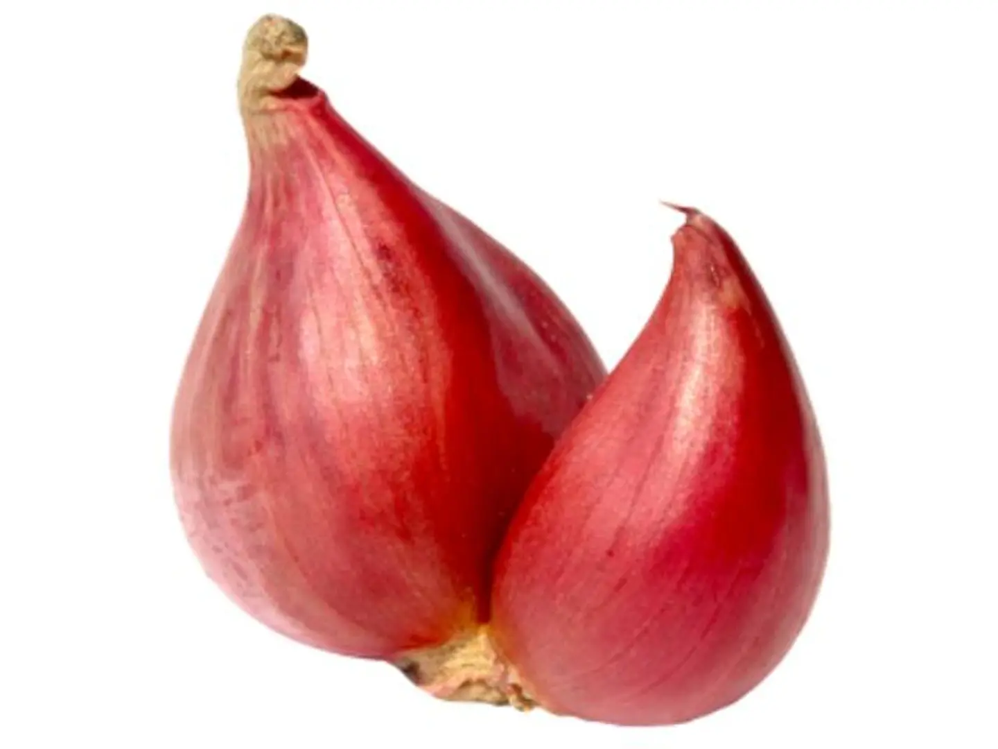 Shallote Onioin French