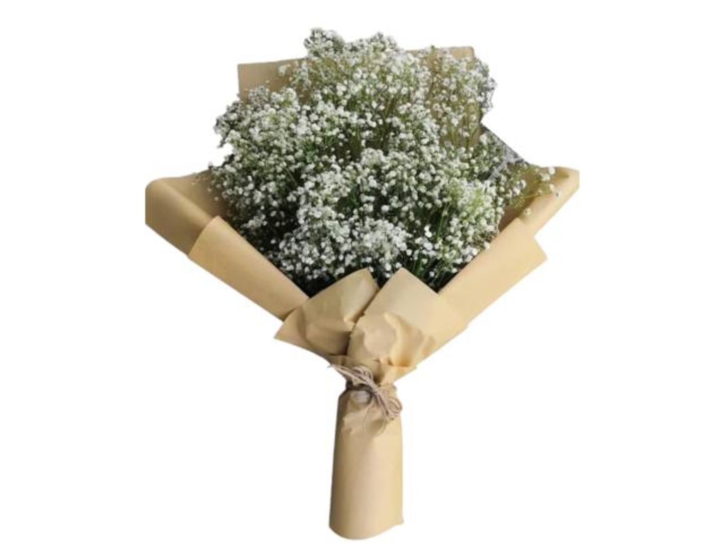 Natural Gypsophilia Bouquet