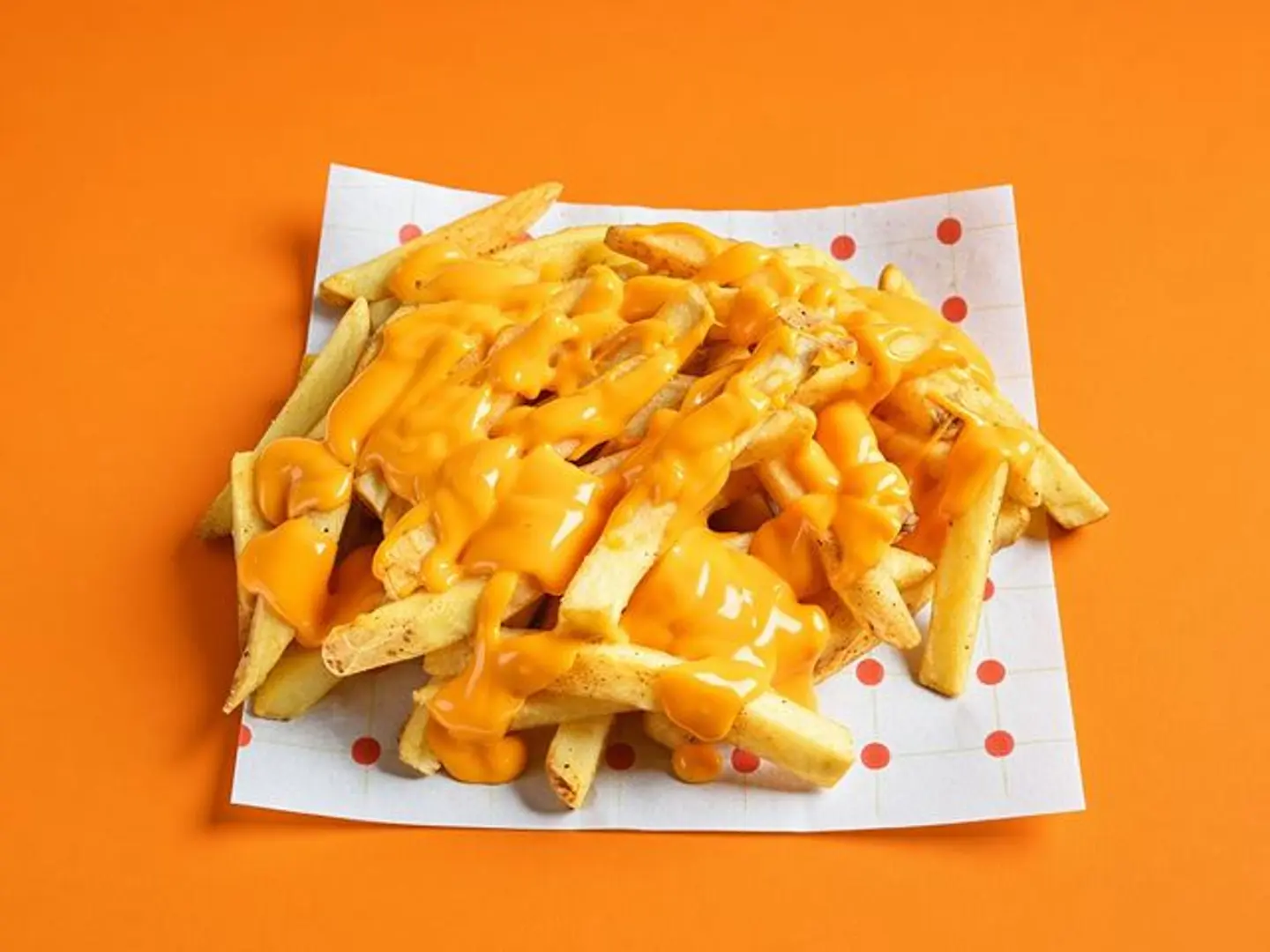 Cheesy Fries