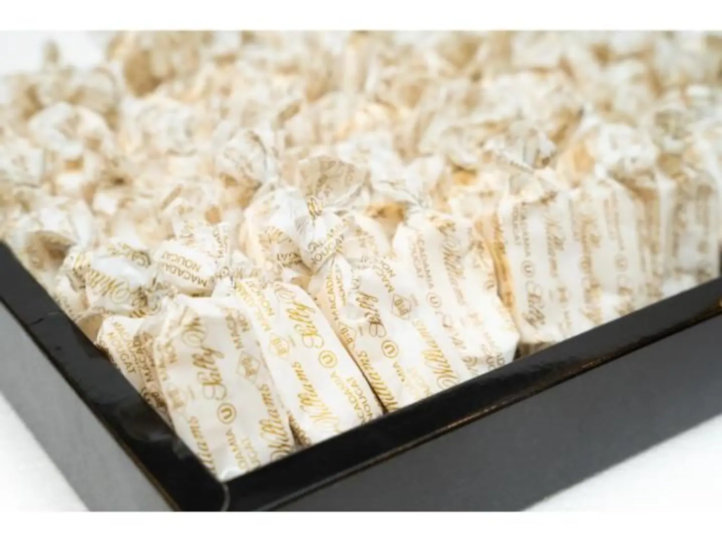 نوقا المكاديميا الفاخرة