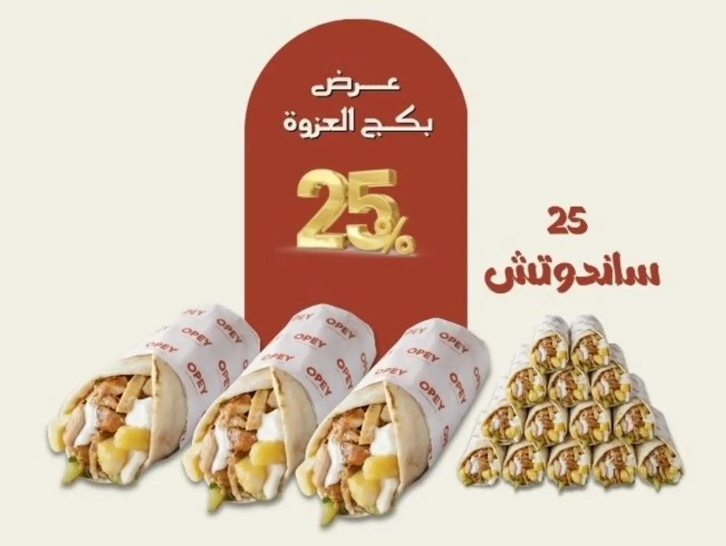 25 X Alezwa Package