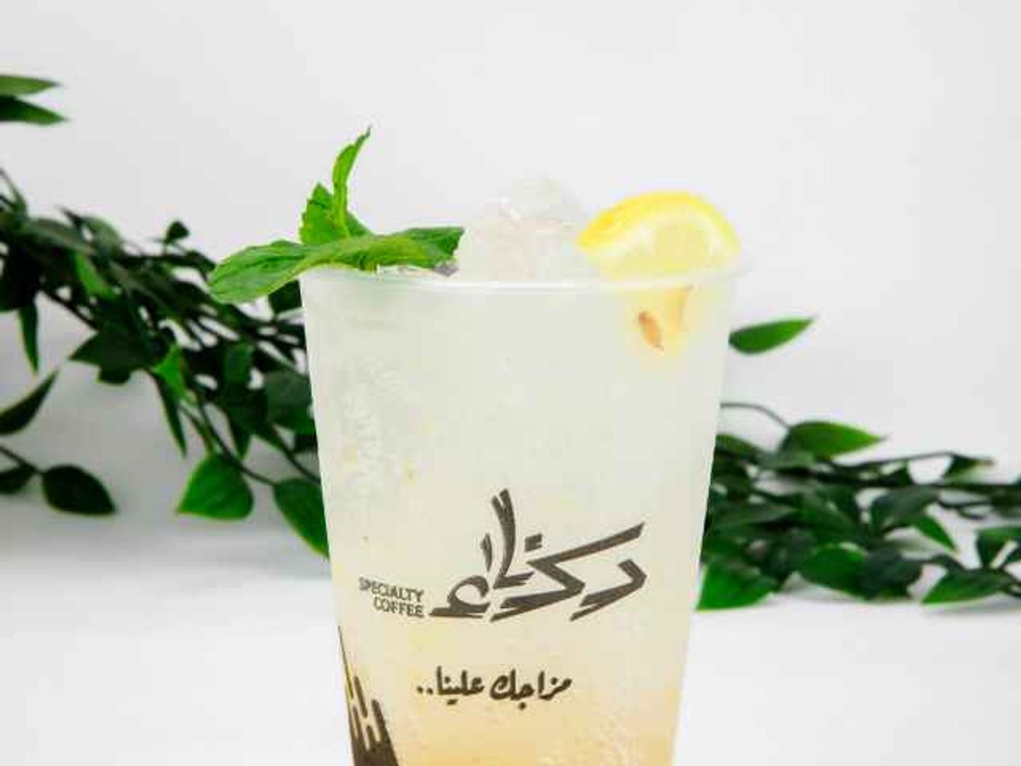 ايس باشن فروت