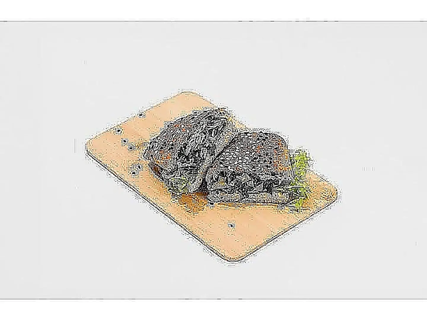 ساندويتش تشكن هلثي