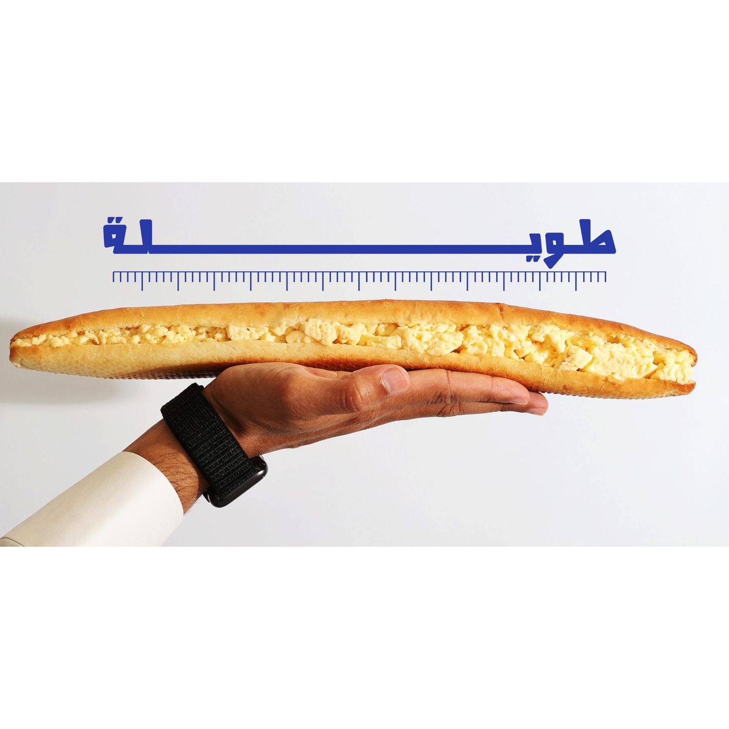 بيض