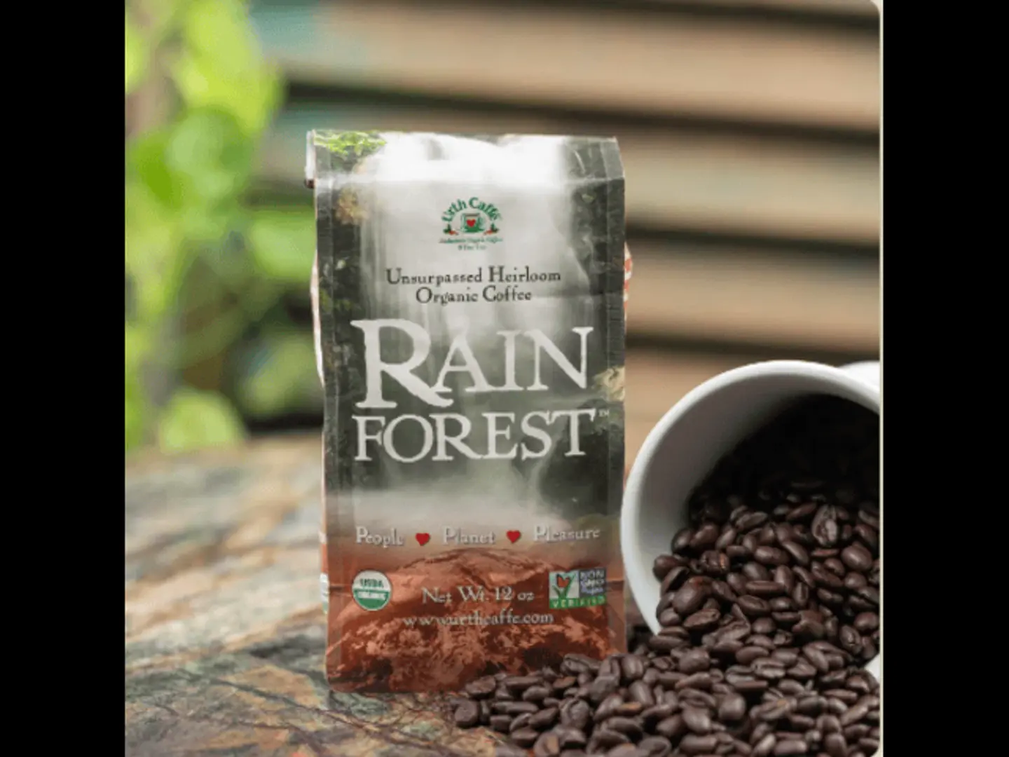 Rainforest By Packet