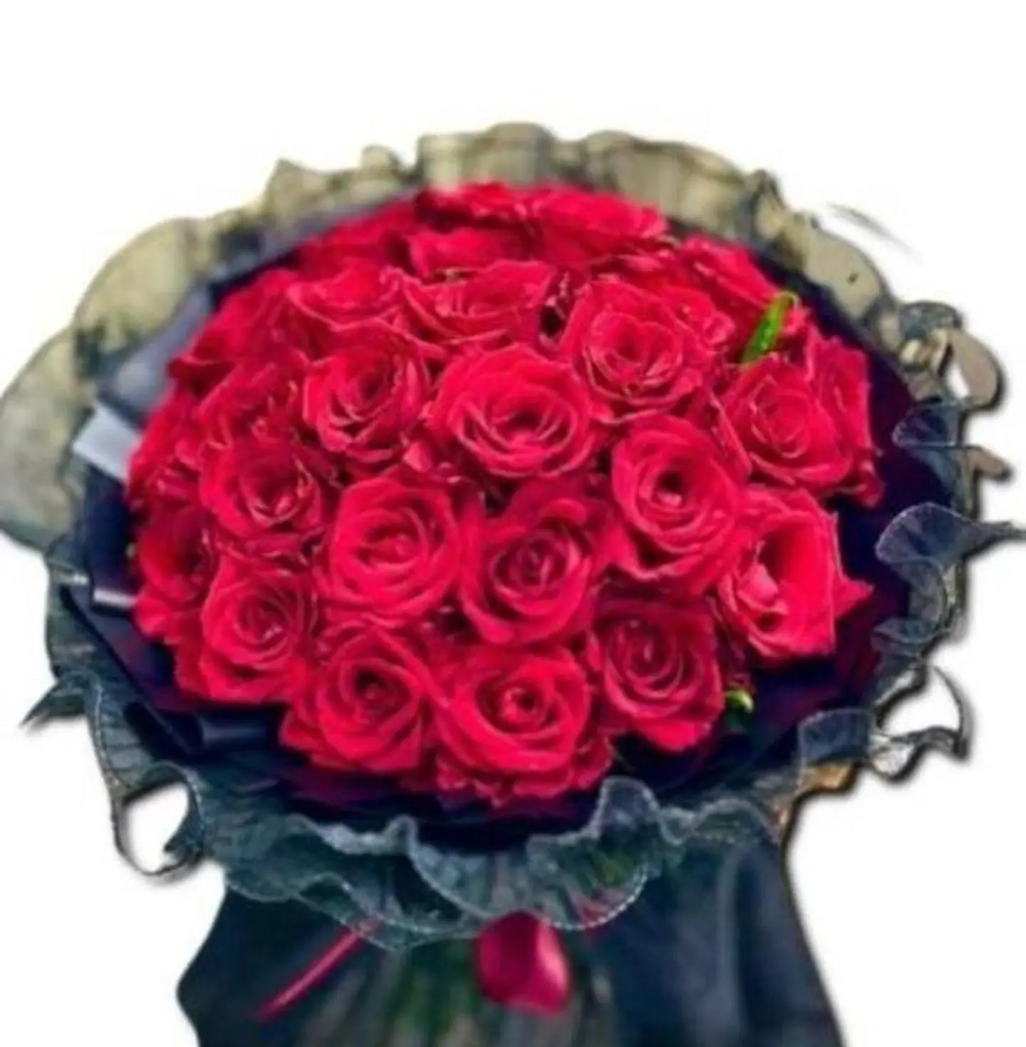 بوكية -أنا موطنّك و أنتَ السلامَ الَّذِي أحتَاجُه♥️