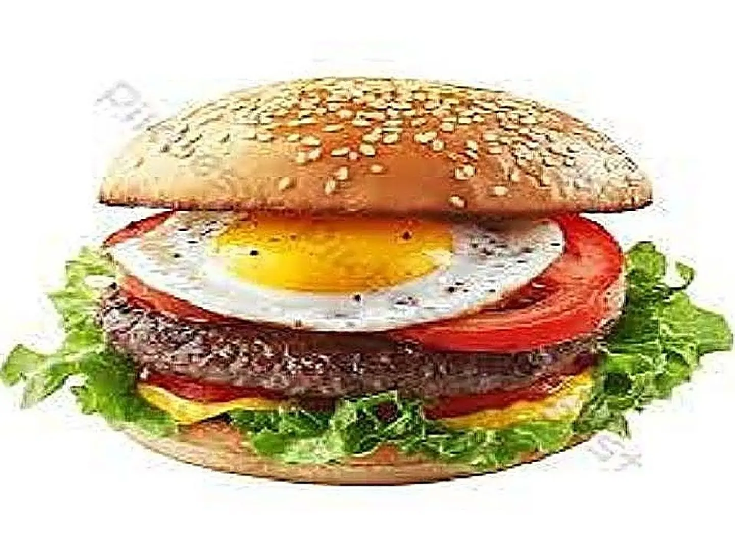 Special Beef Burger Sandwich