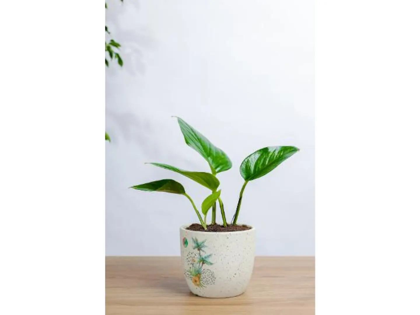 Golden Pots In A Marble Basin With A Distinctive And Elegant Design