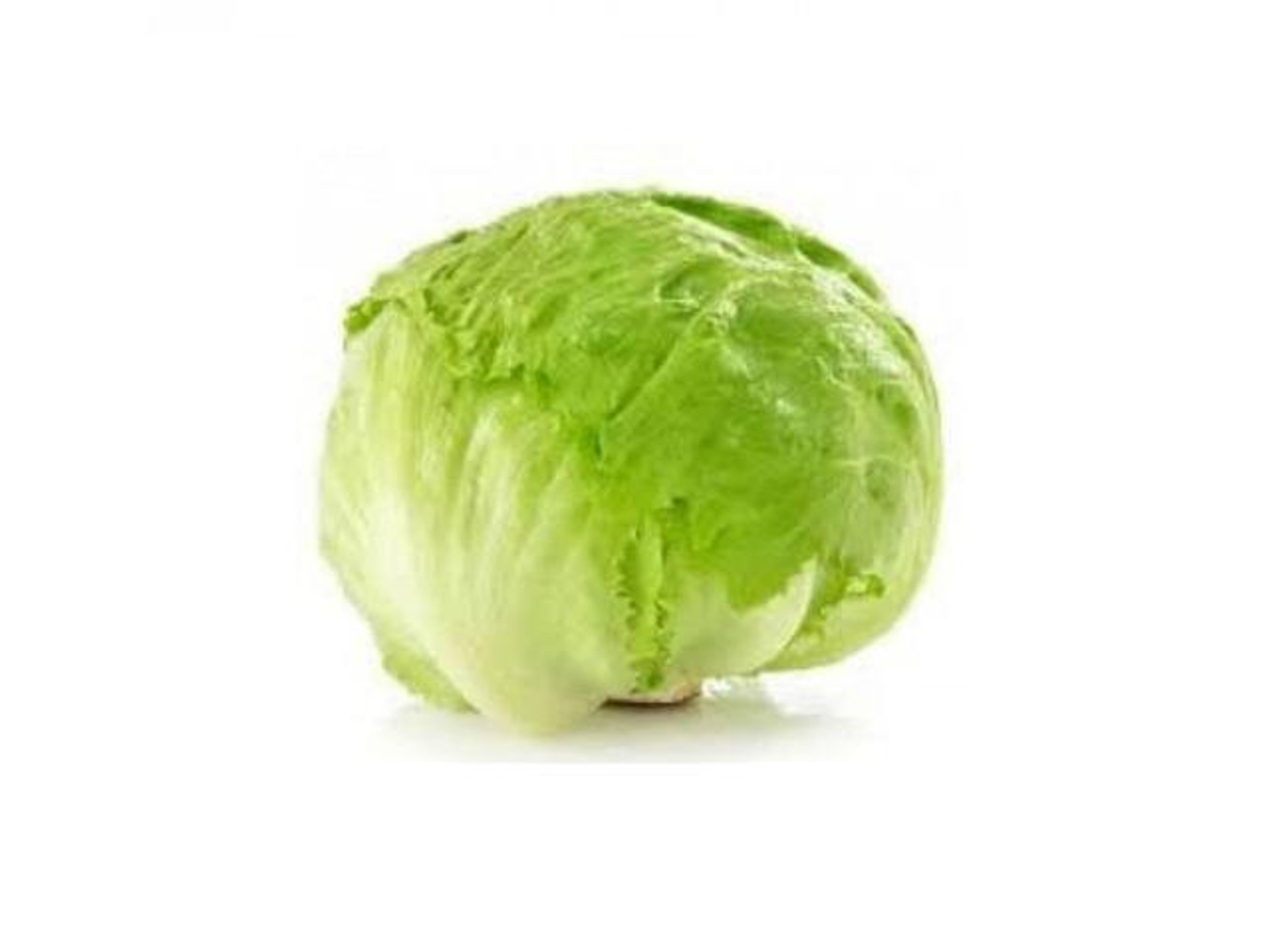 American Lettuce 1 Piece