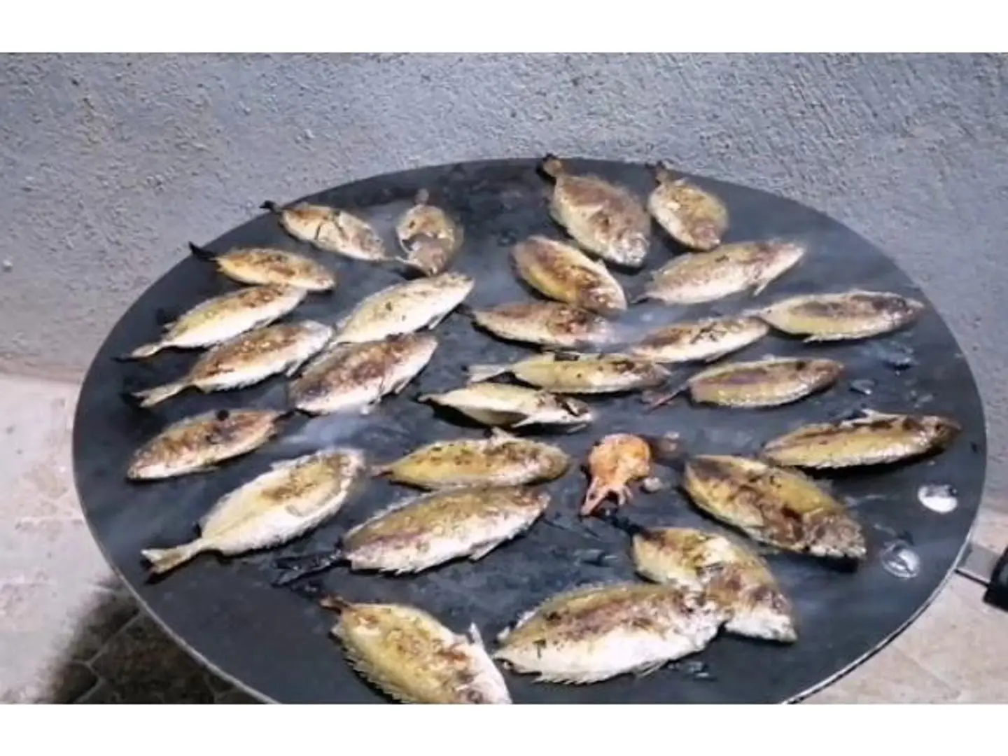 Grilled Sweifi On Saj - 1000 Gram