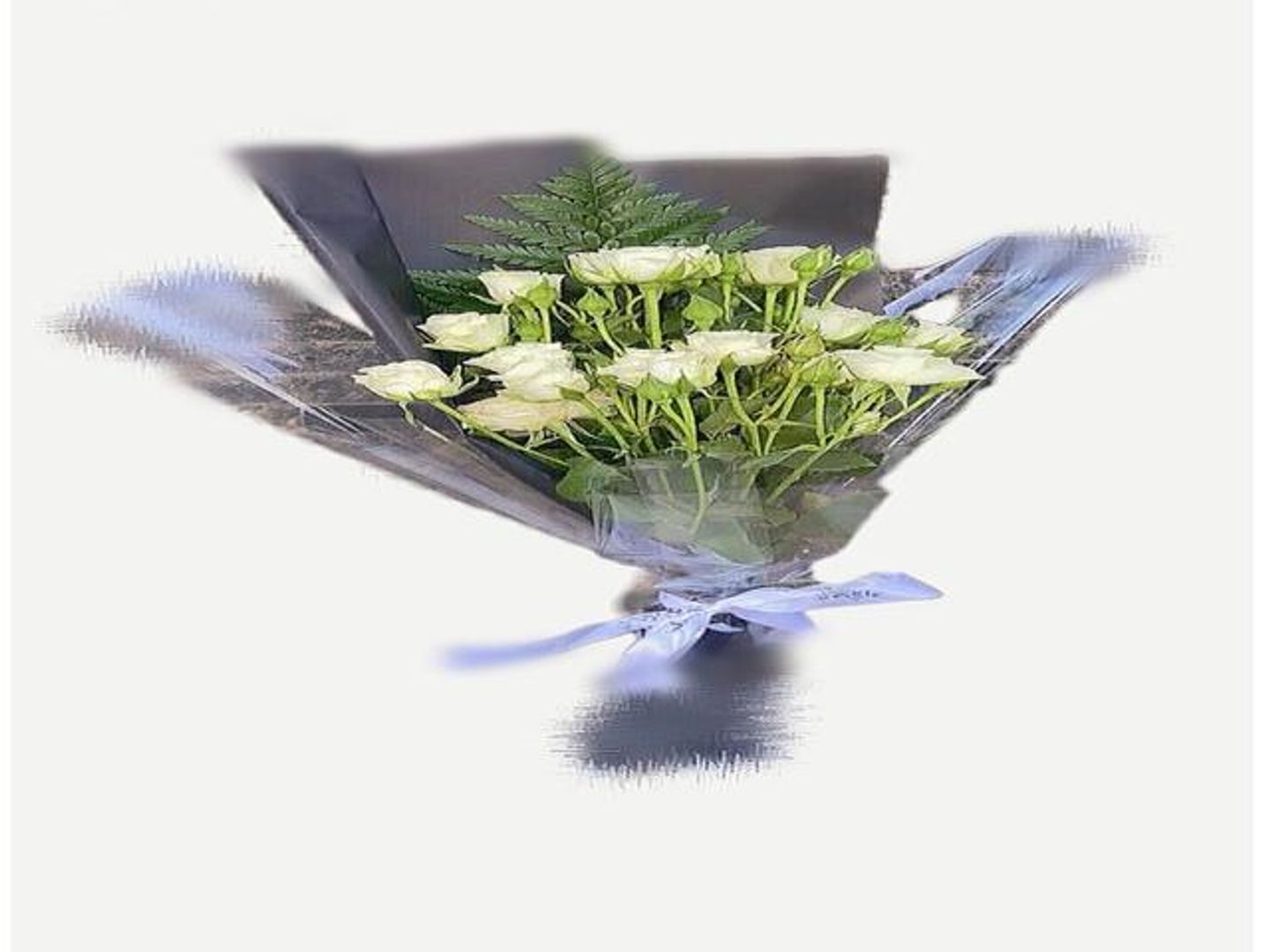 روز