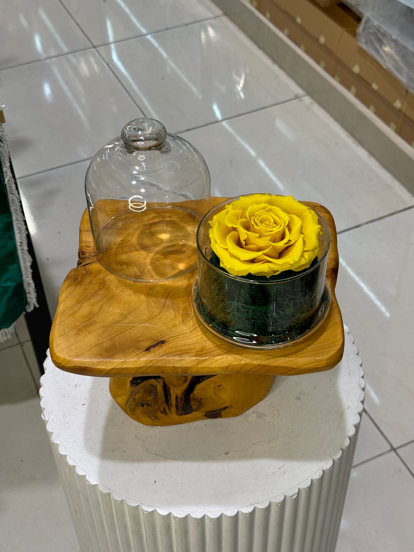 Perpetual Rose Yellow