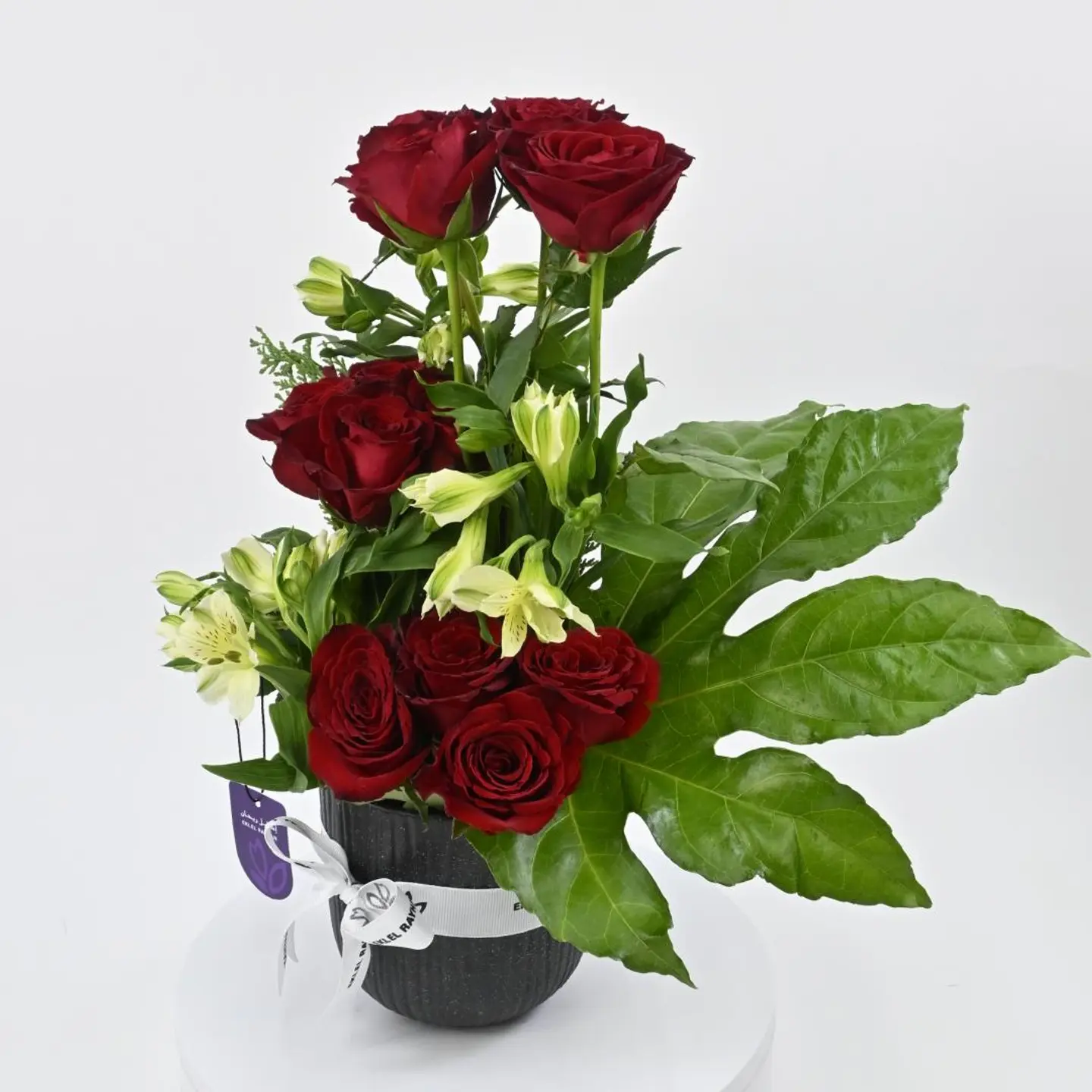 فازه رِقة الخزامى