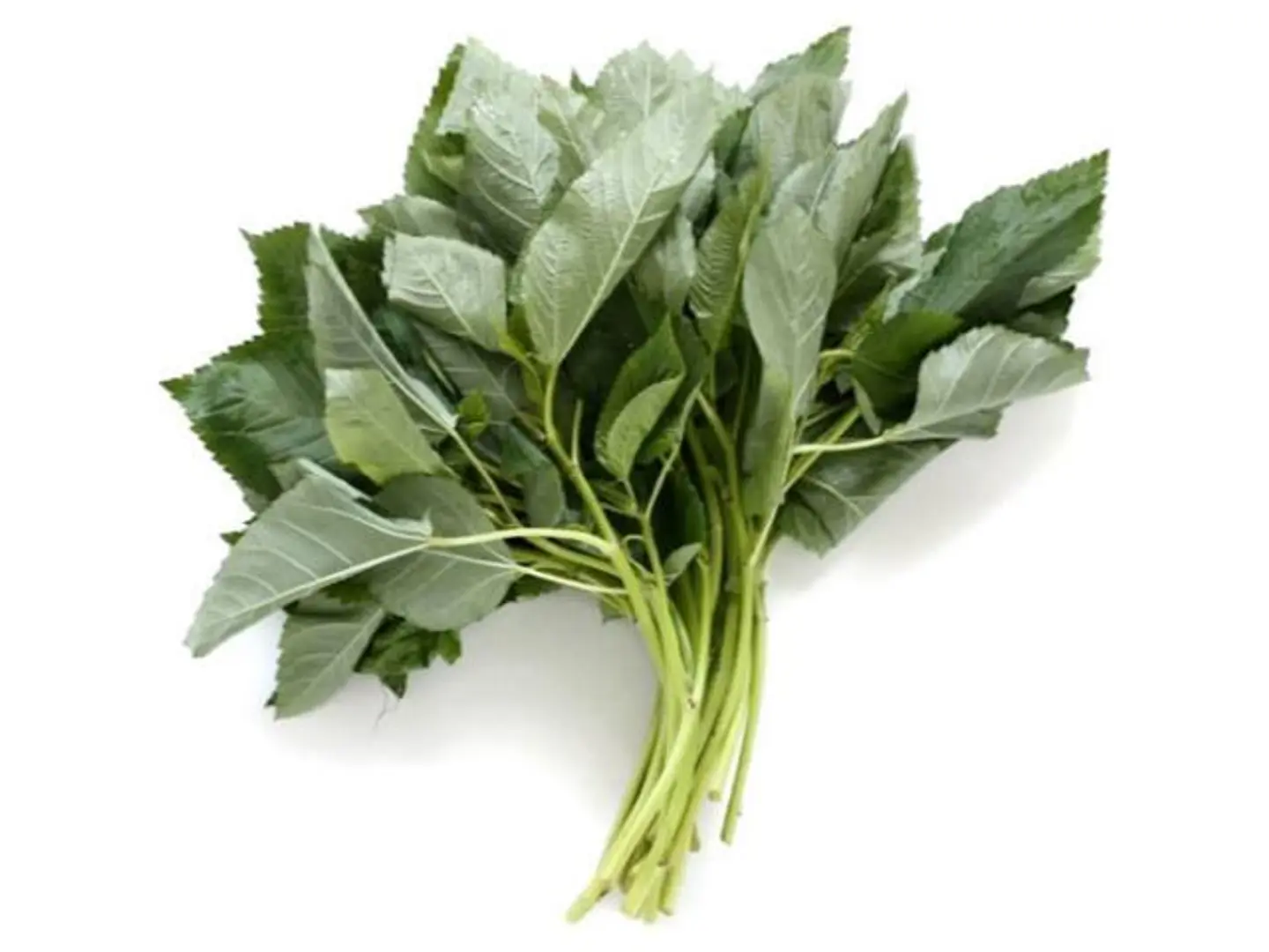 ملوخيه