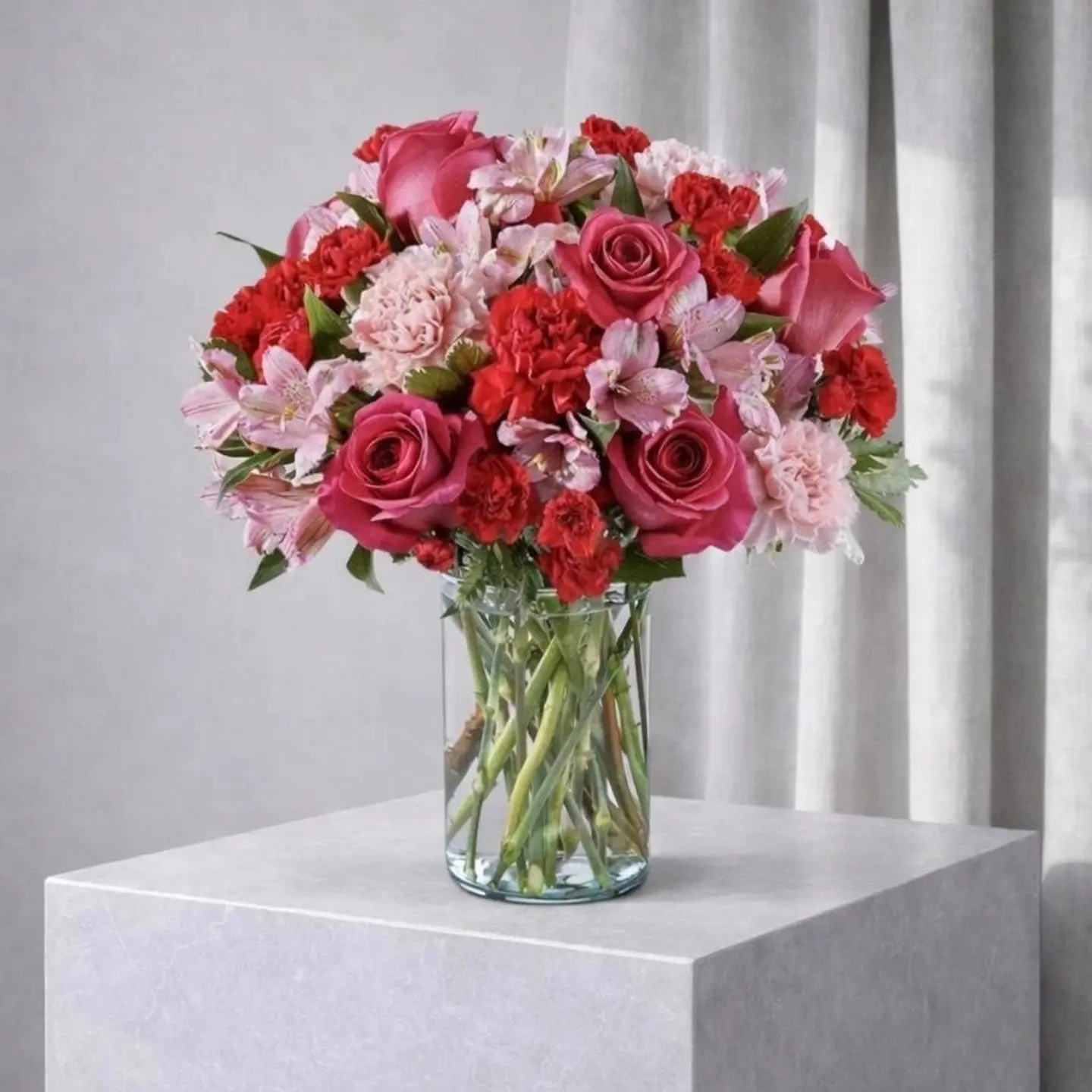 فازة سكارليت