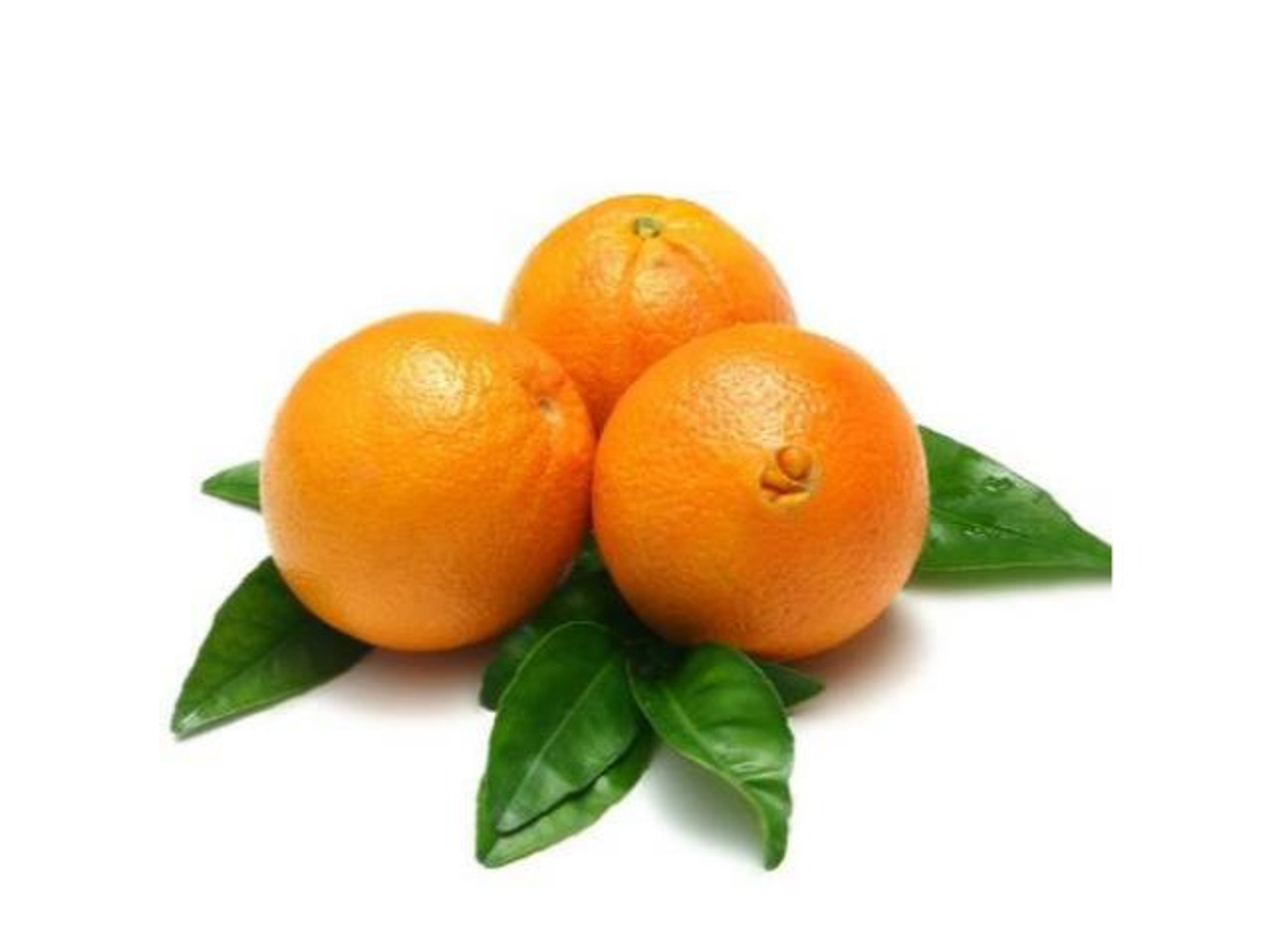 برتقال مصري أبو صرة اسباني كيلو