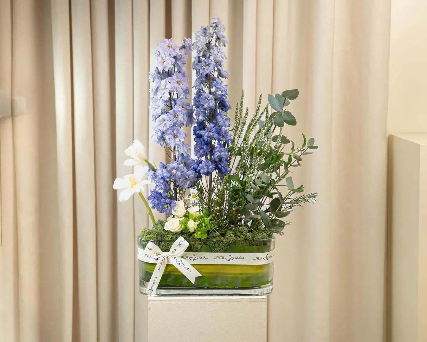 فازه فورنيكا الانيقة