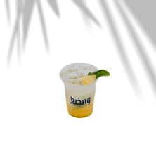 سقنتشر ومضه