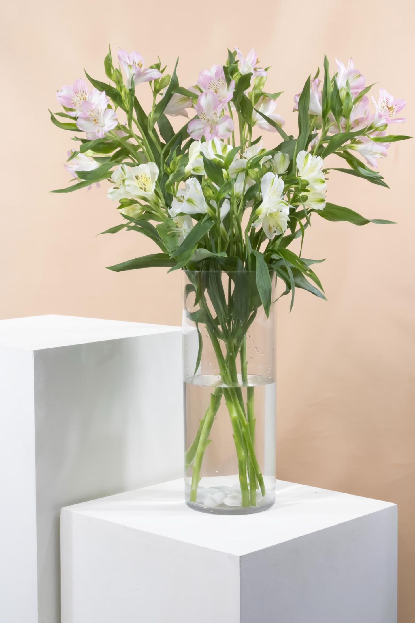 Alstroemerya Vase