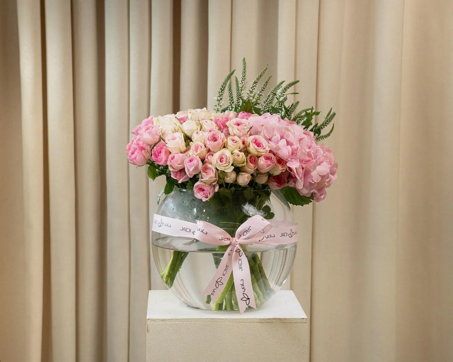 فازة ايزابيلا