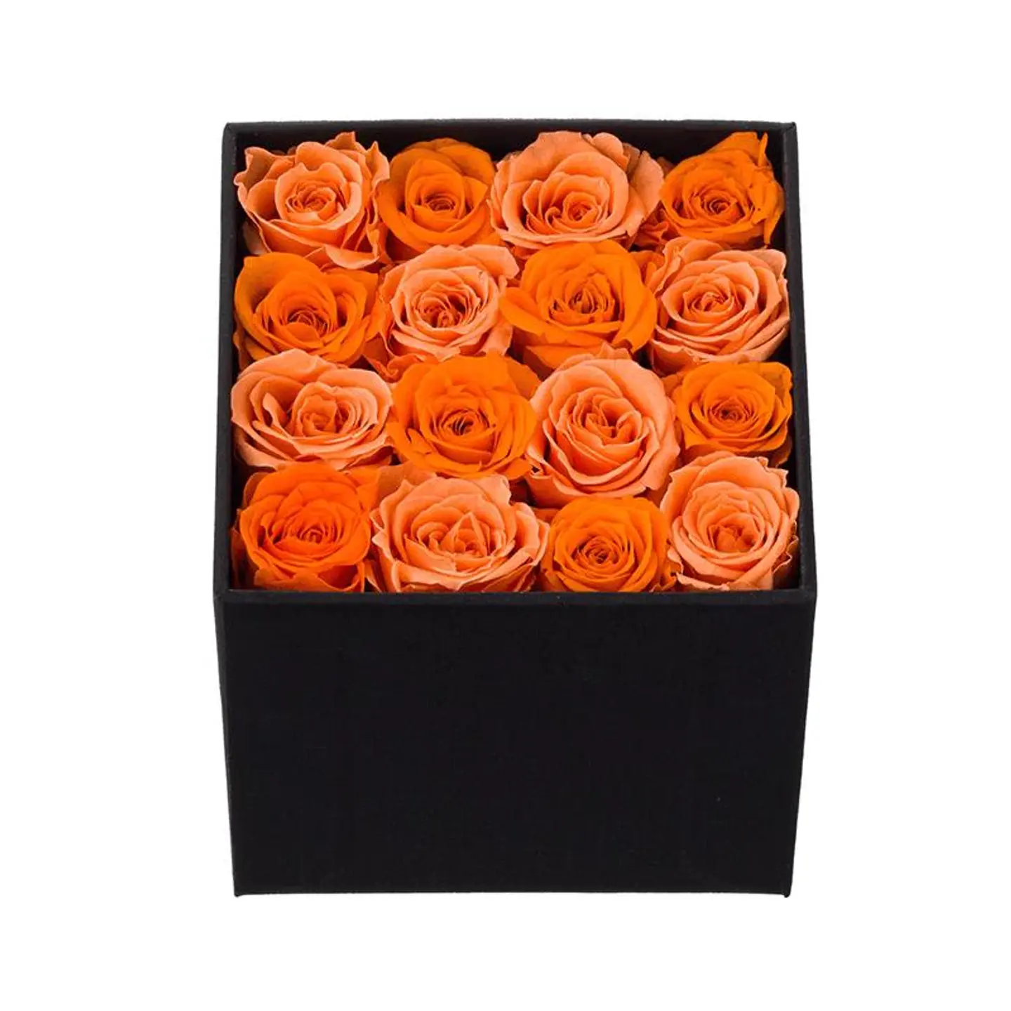 بوكس ورد جوري برتقالي