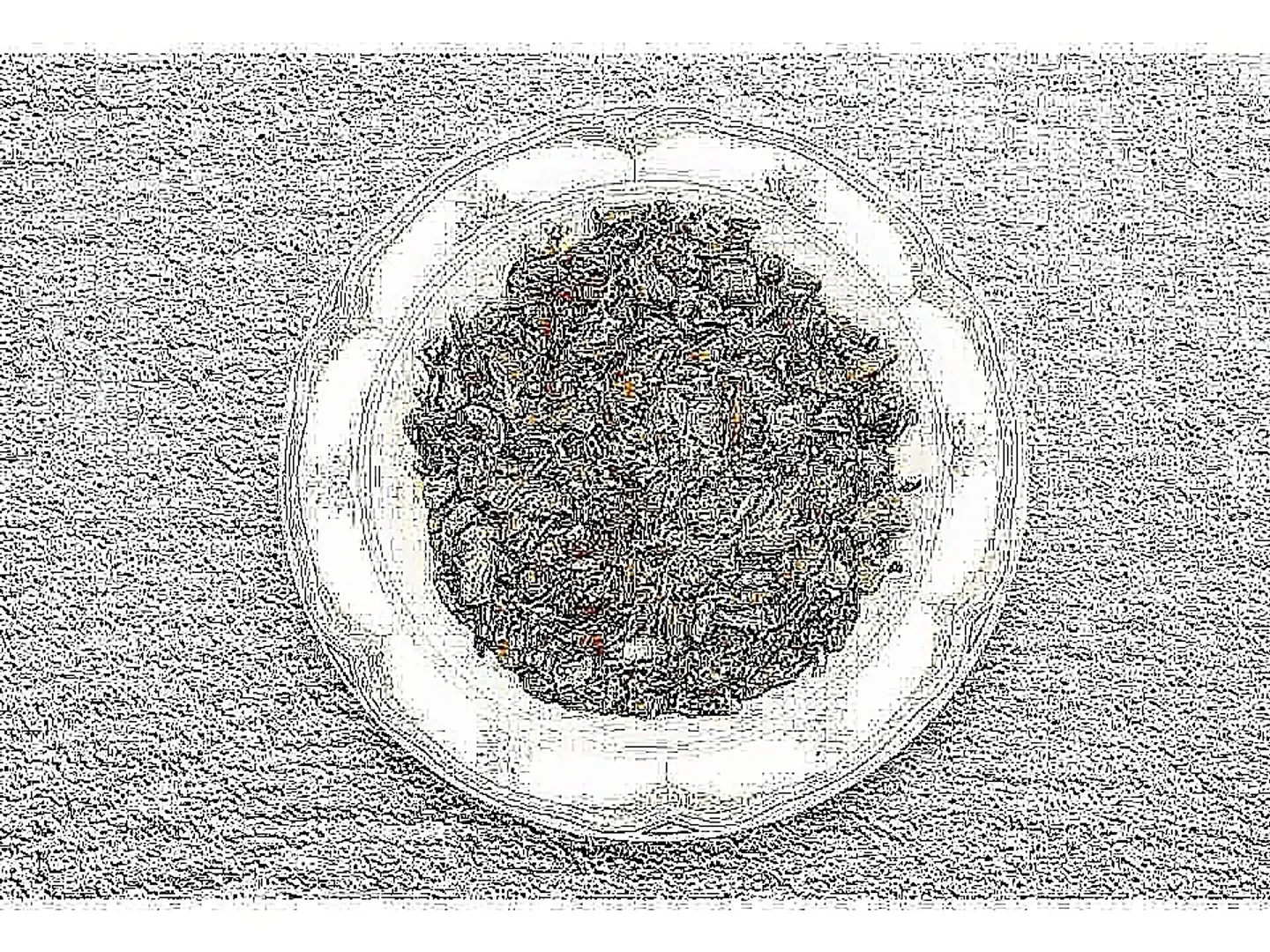 Plain Tuna