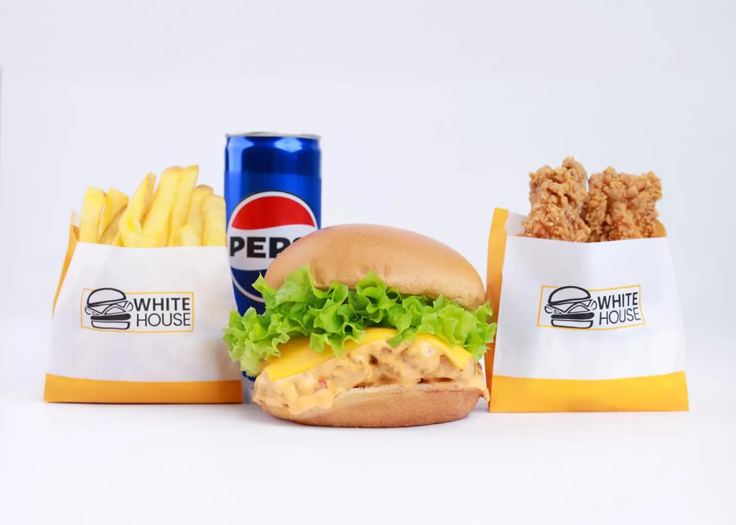 Chicken Combo