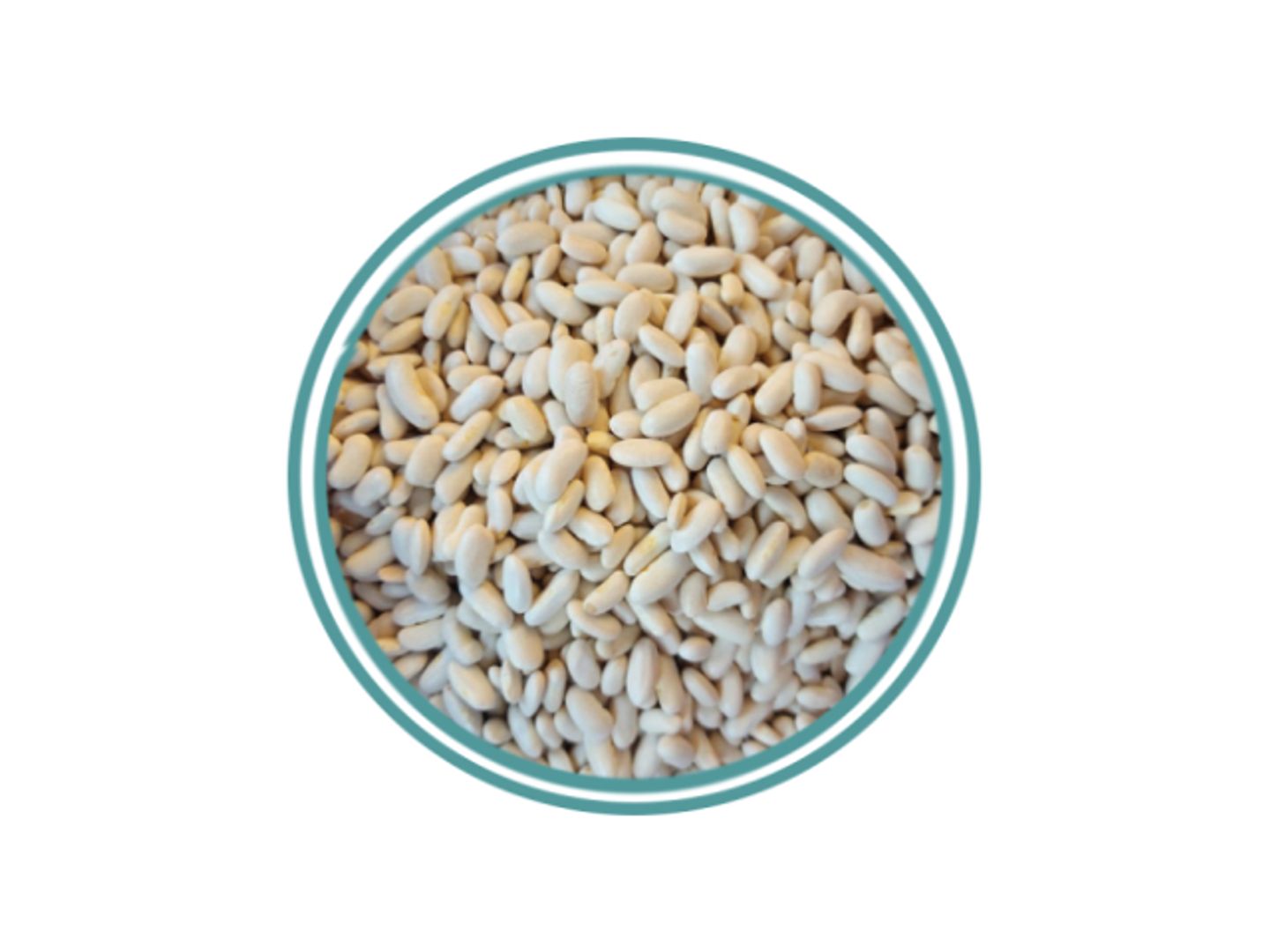 Egyptian White Beans