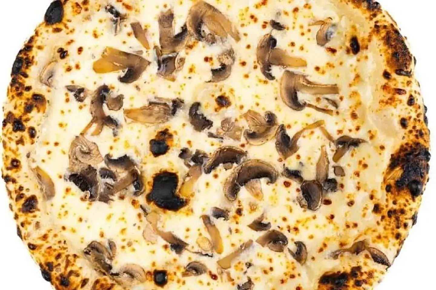 بيتزا ترافل