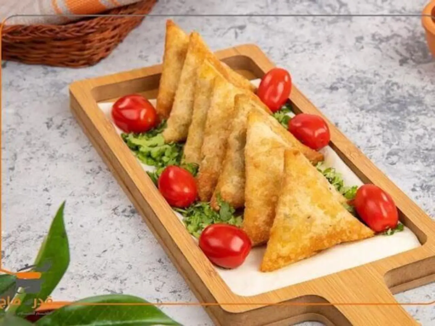 One Piece Of Meat Samosa