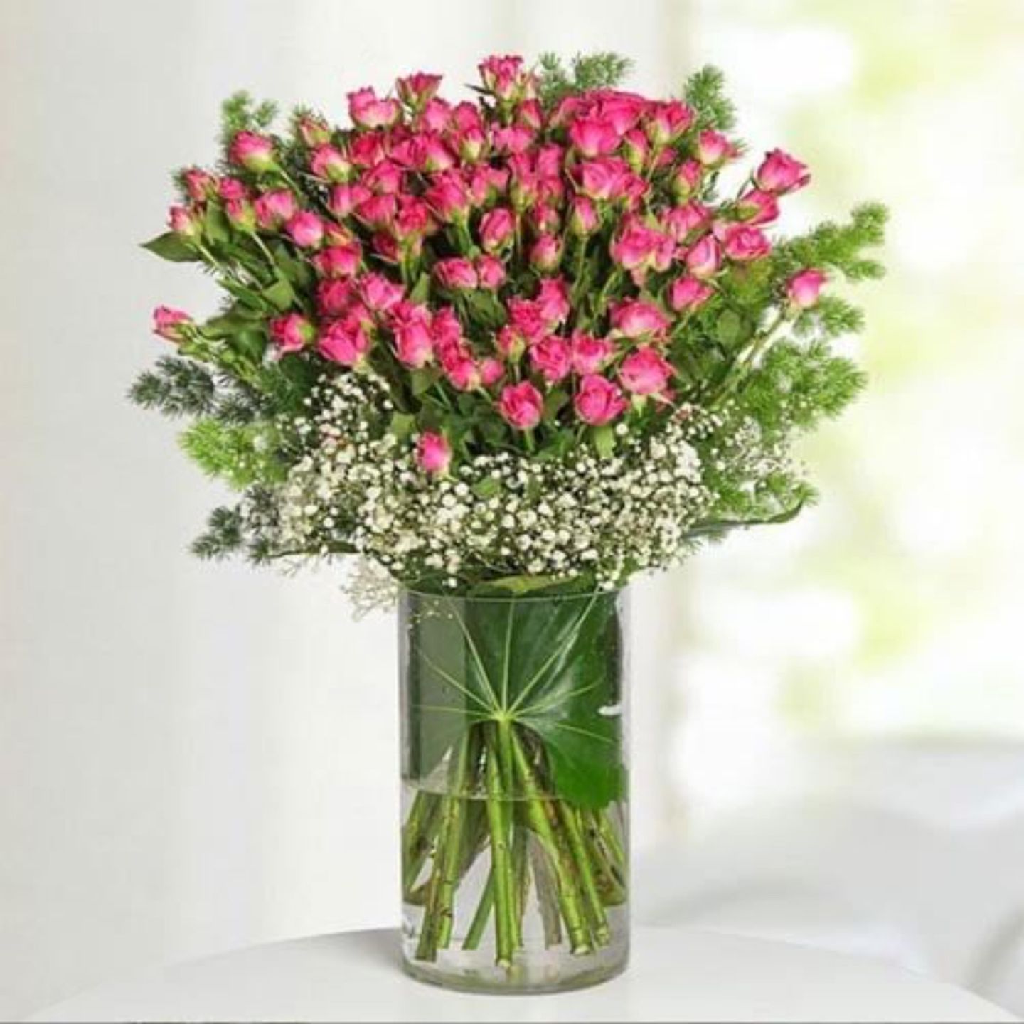 الفازه الانيقه