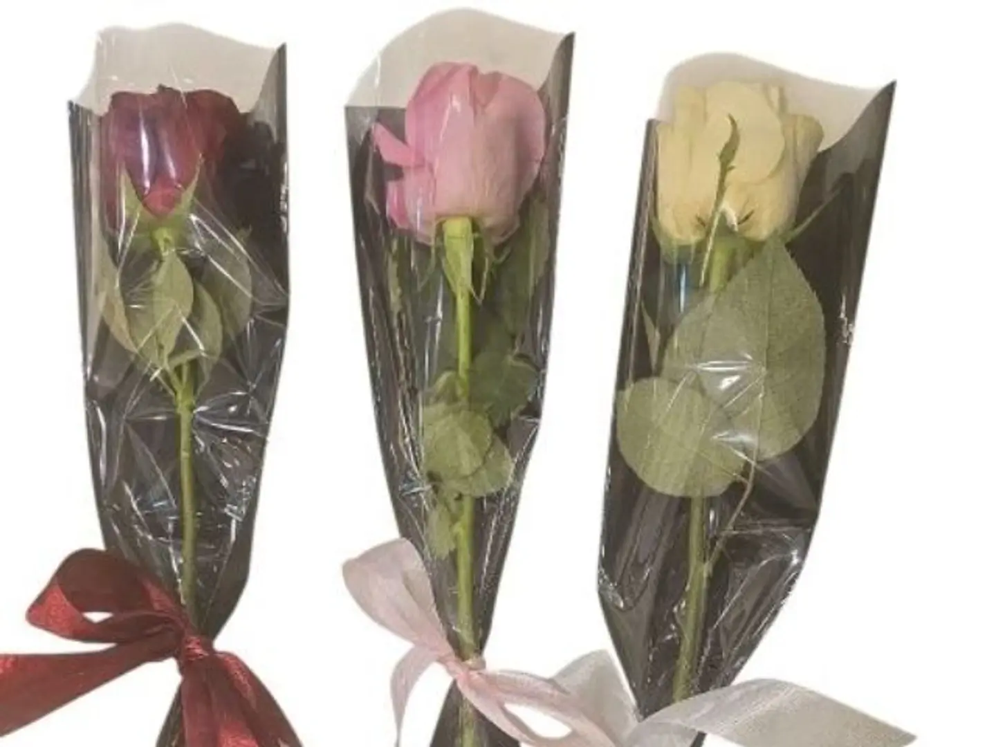 وردة مغلفة عدد 1 جميع الألوان