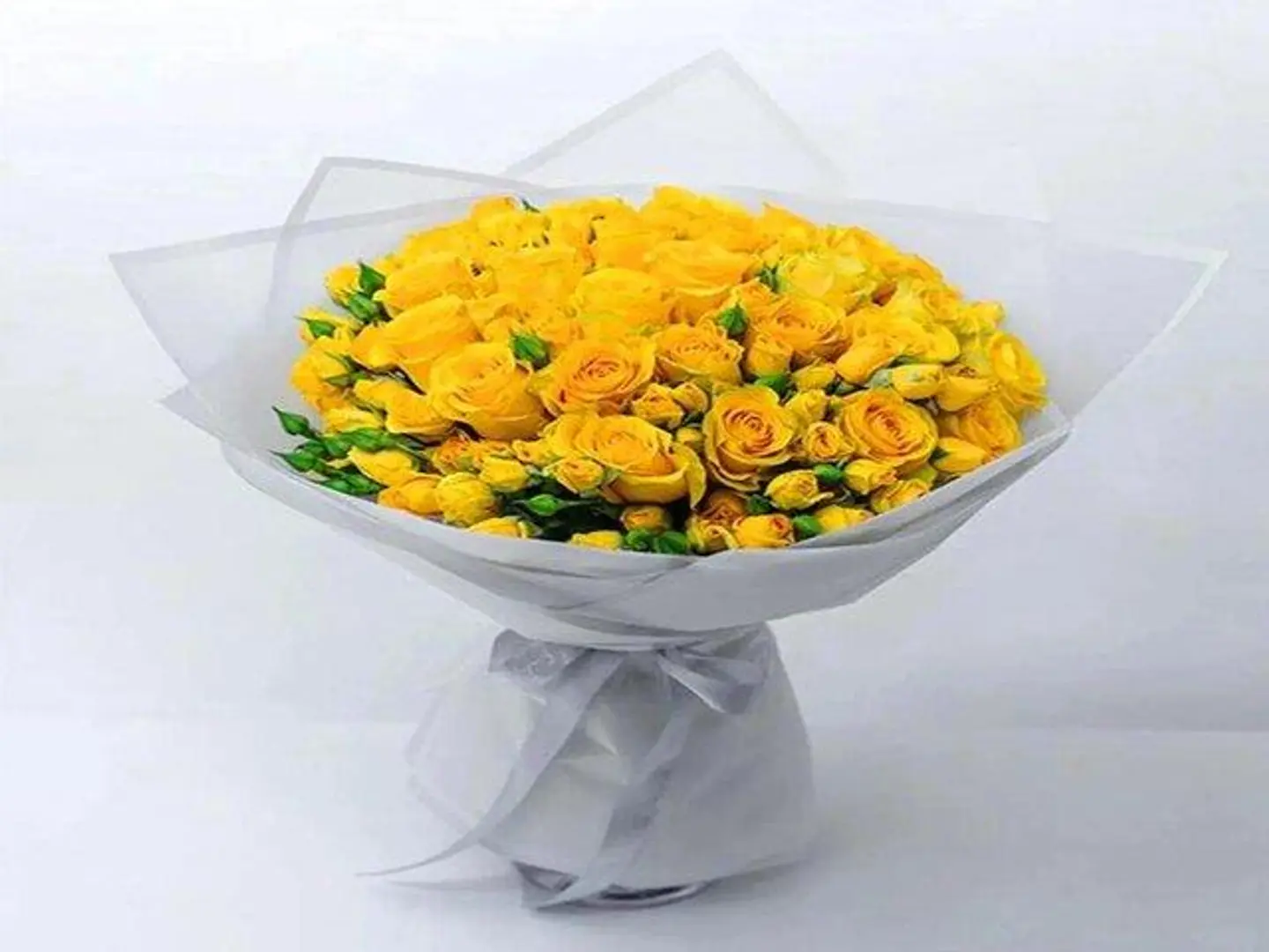 You Are The Rose That Bloomed In My Heart