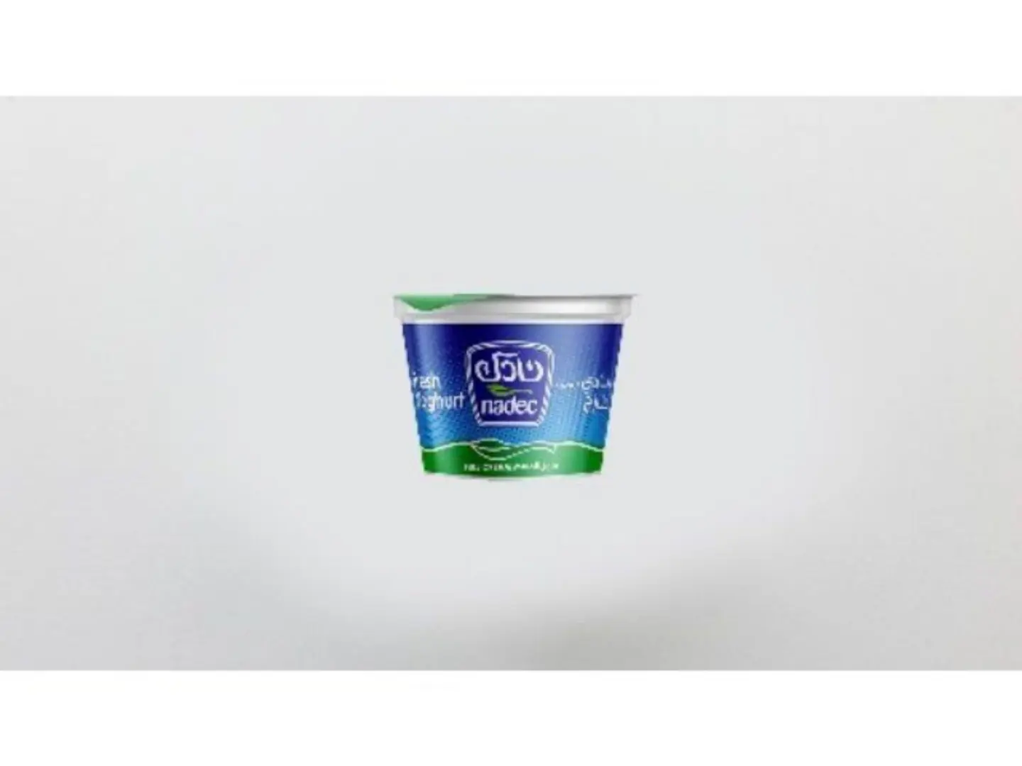 Nadec Fresh Yoghurt 170g
