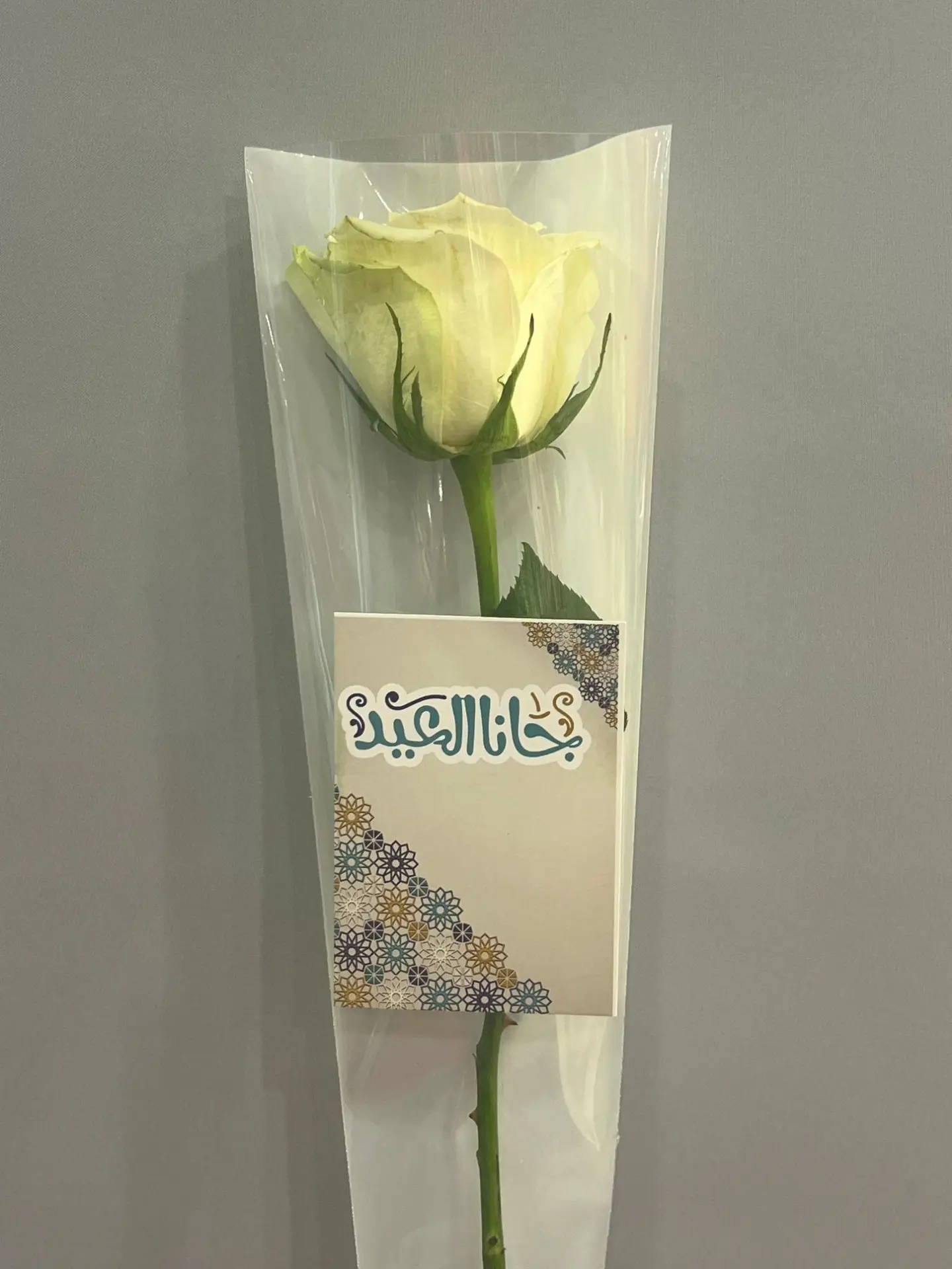 هدايا العيد 14