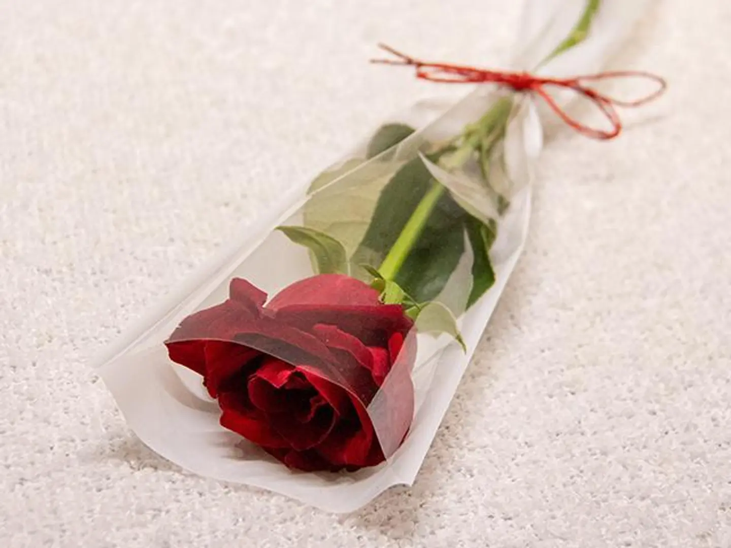 Red Rose