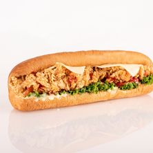 زنجر دجاج