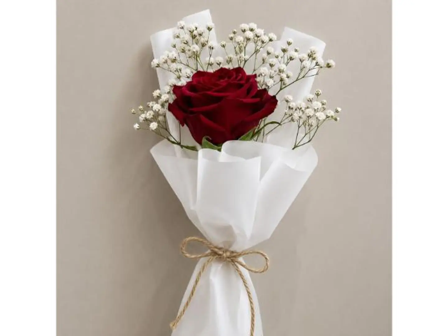 Red Rose & Gypsophila