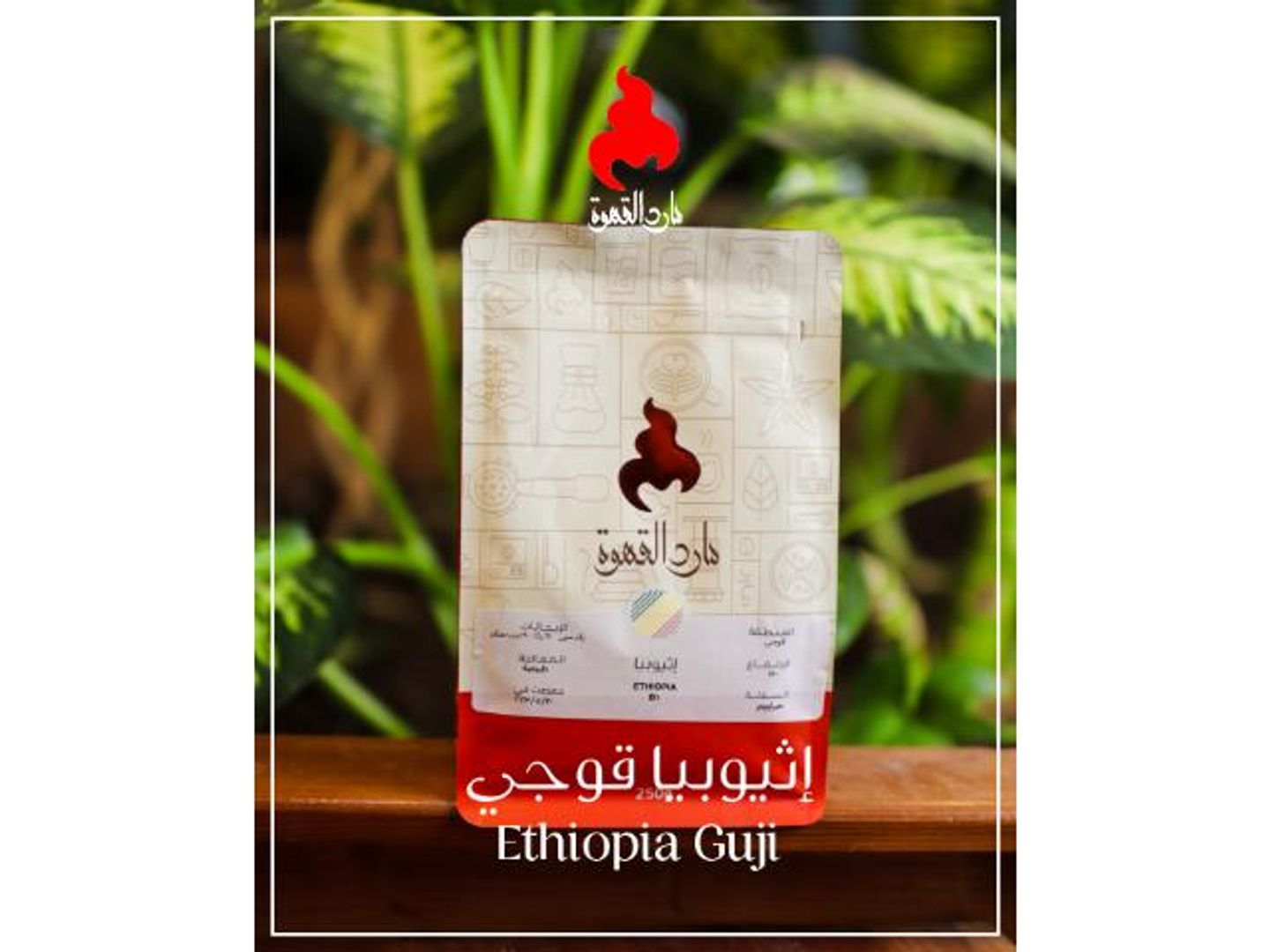 إثيوبيا غوجي